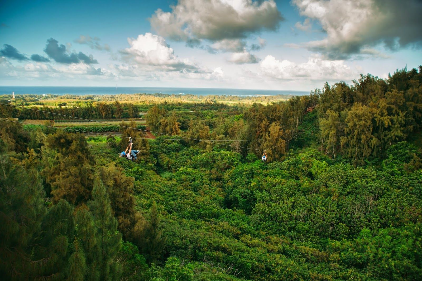 Photo 9 of CLIMB Works Keana Farms Zipline Tour in Kahuku & Turtle Bay, Oahu
