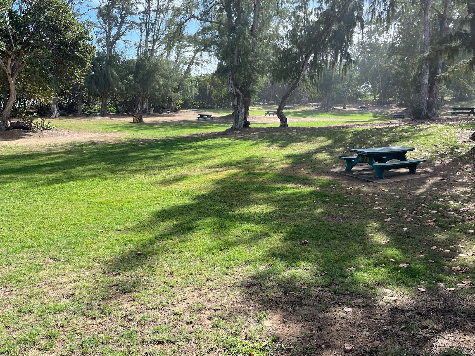 Photo 9 of Mālaekahana State Recreation Area in Lāʻie, Oahu