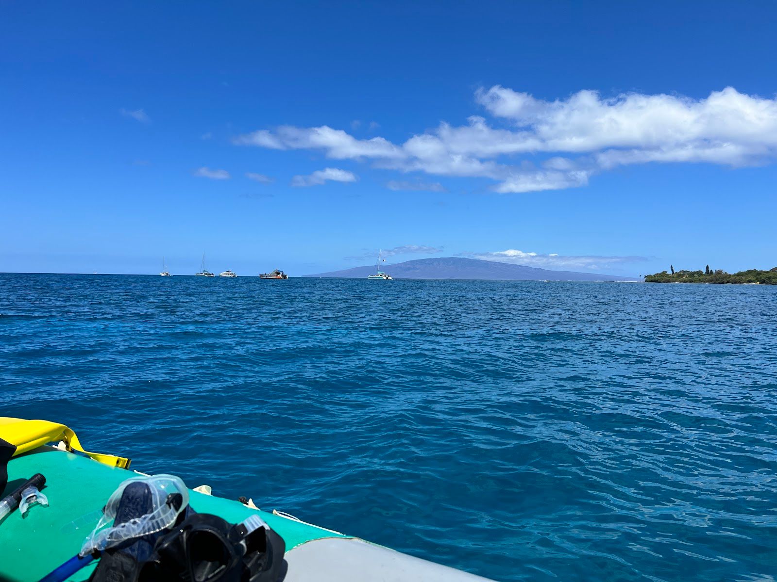 Photo 7 of The Magic Merman Snorkel Charters in Kāʻanapali, Maui