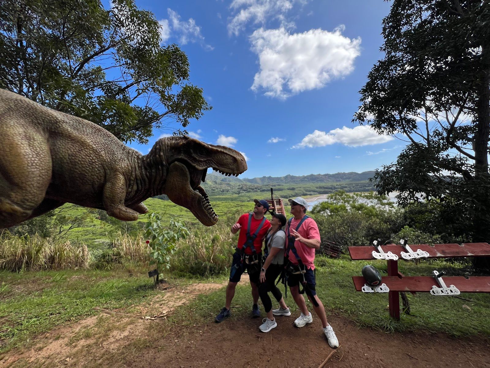 Koloa Zipline in Kōloa, Kaua‘i photo 6