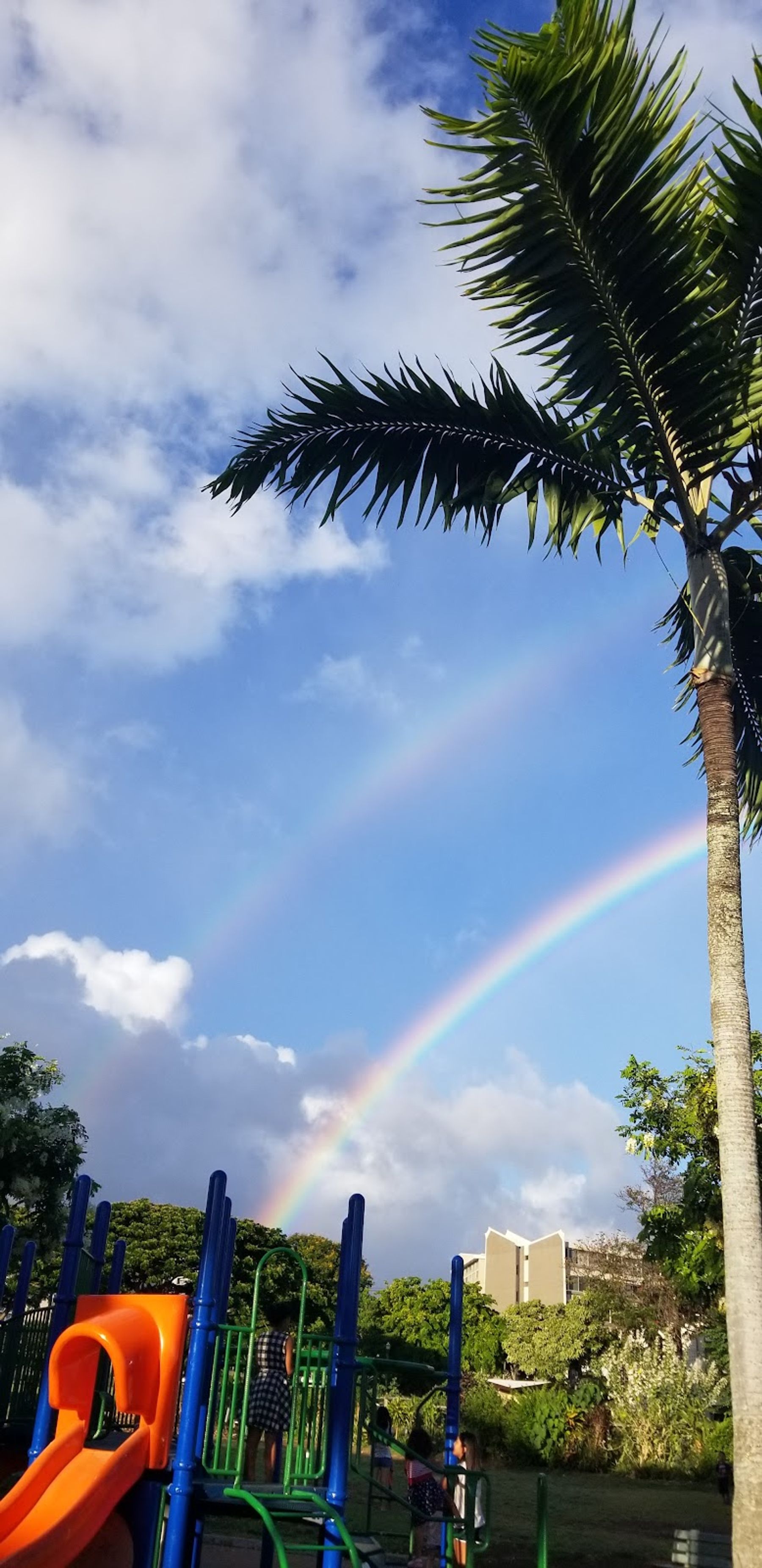 Photo 6 of Makiki District Park in Mānoa, Makiki & Nuʻuanu, Oahu