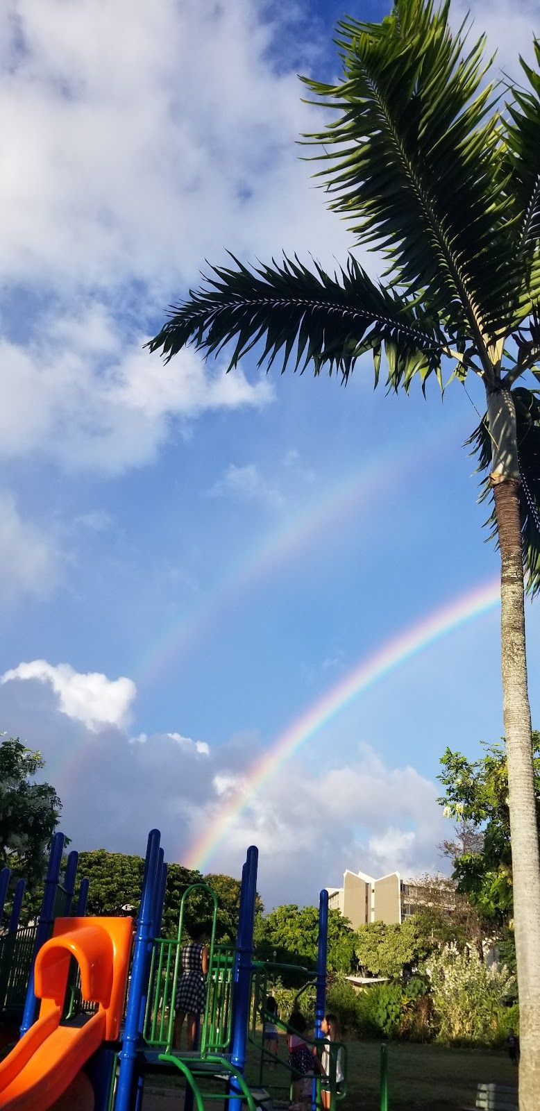 Photo 6 of Makiki District Park in Mānoa, Makiki & Nuʻuanu, Oahu
