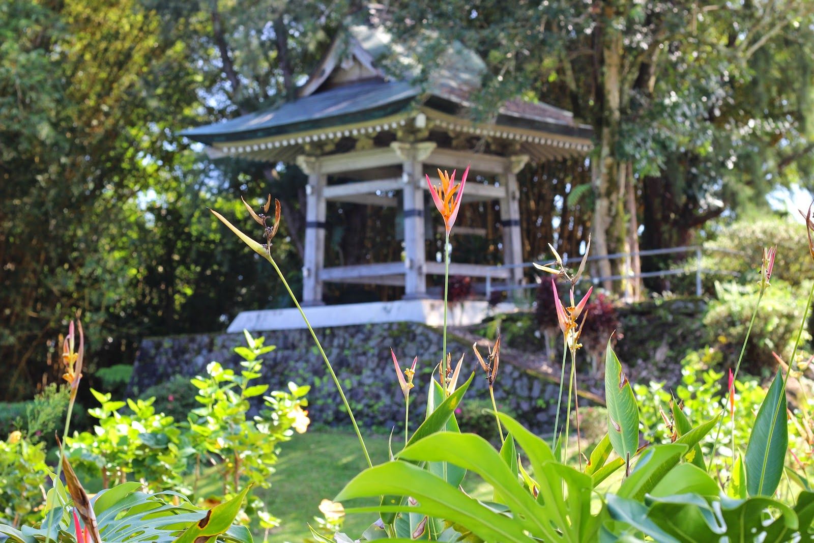 Photo 5 of Nani Mau Gardens and Event Space in Hilo, Big Island