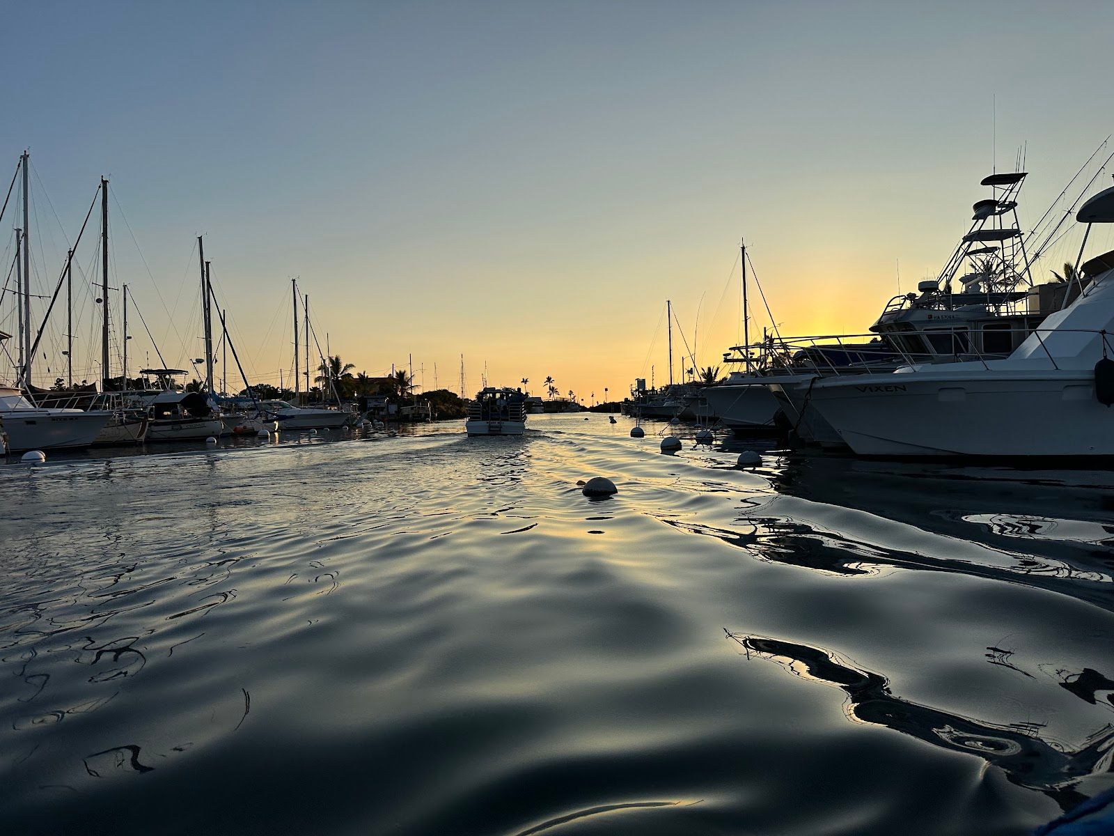 Photo 8 of Ocean Eco Tours in Kailua-Kona, Big Island
