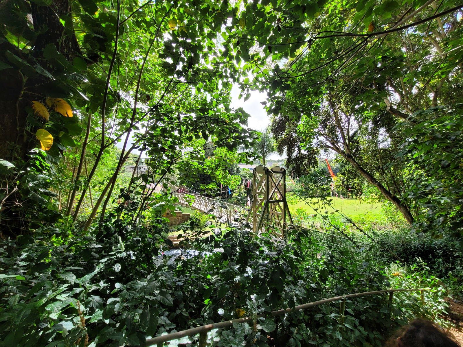 Kapaia Swinging Bridge in Lihue, Kaua‘i photo 3