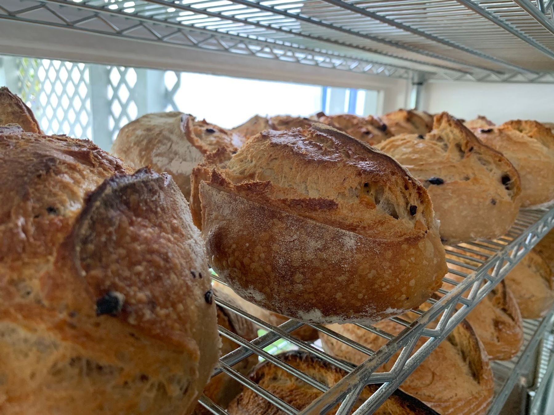 Photo 3 of Motek Bakery in North Kohala, Big Island