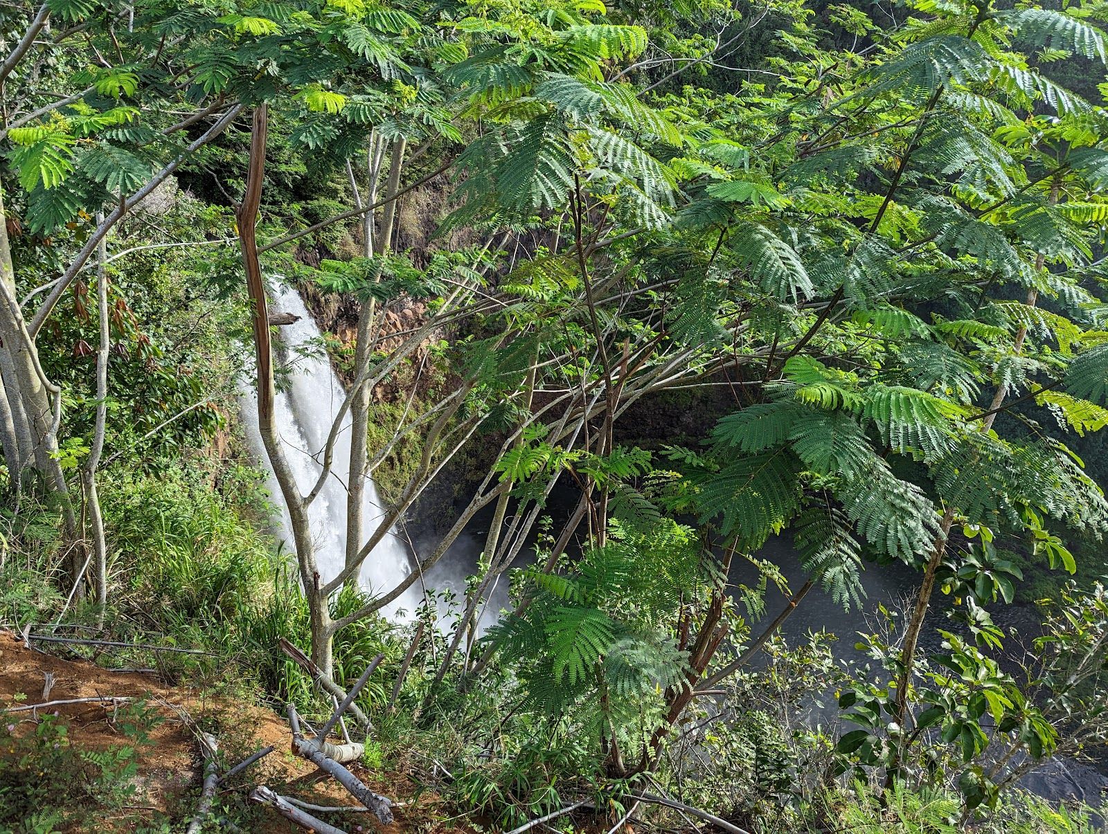 Wailua Falls in Kapaʻa, Kaua‘i photo 5