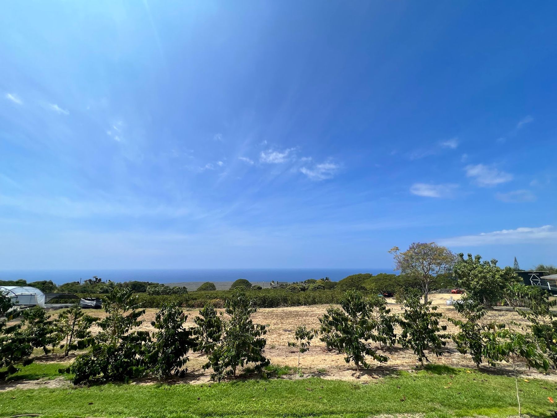 Photo 4 of Bay View Farm in South Kona, Big Island