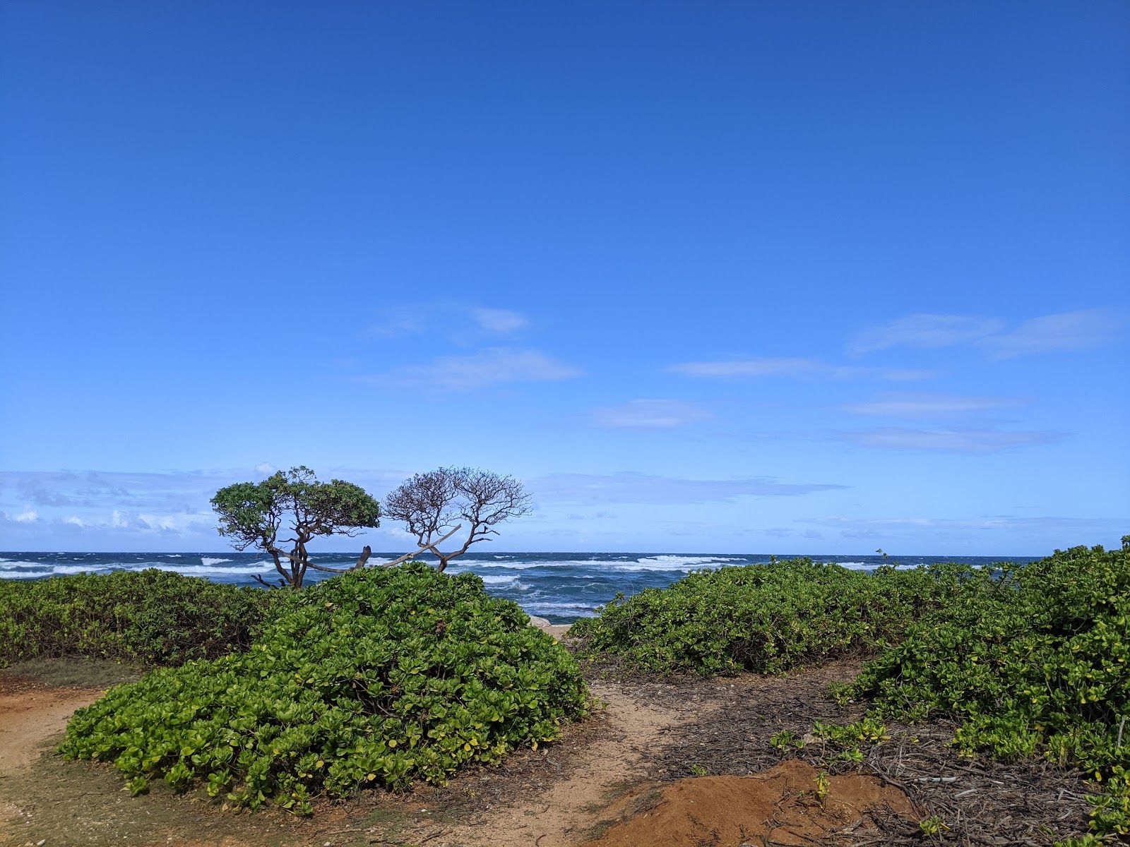 Nukoli'i Beach Park in Lihue, Kaua‘i photo 4