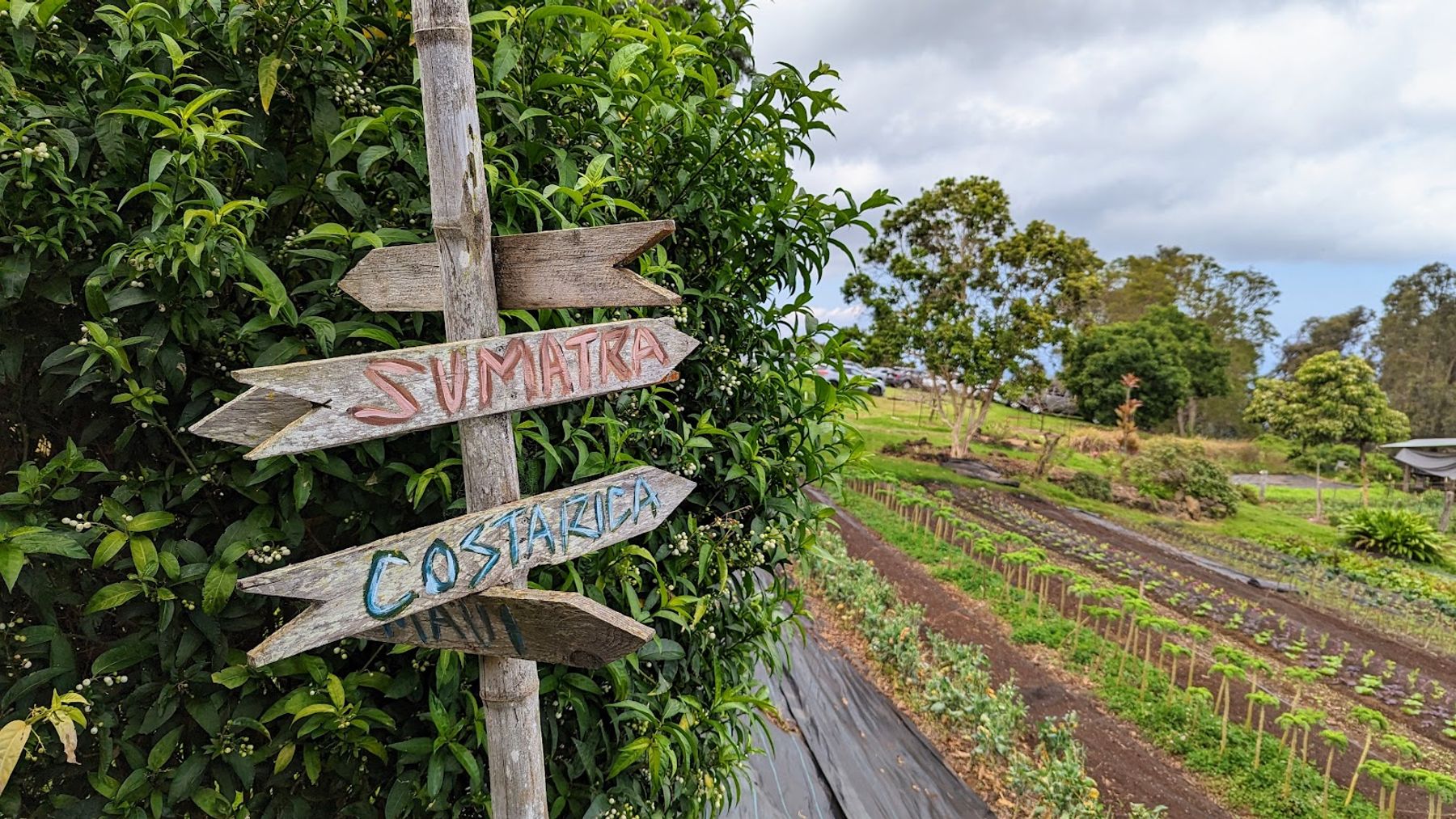 Photo 8 of O'o Farm in Kula, Maui