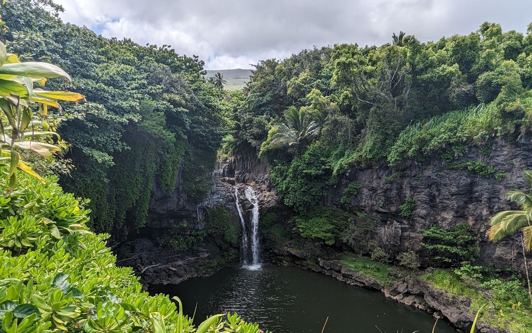 Photo 6 of Pipiwai Trail in Kīpahulu & Kaupō, Maui
