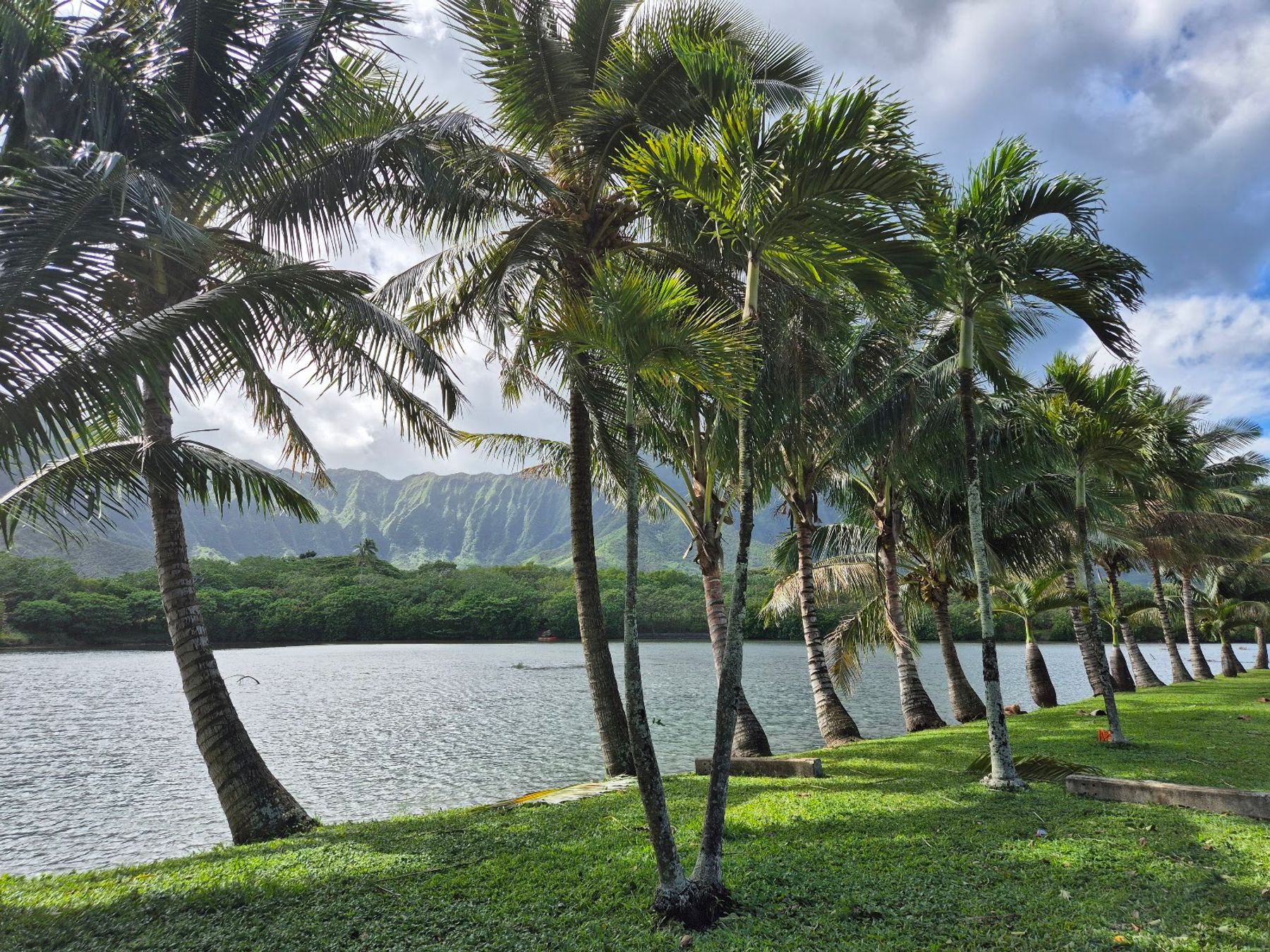 Photo 6 of Nome Ono Food in Kāneʻohe, Oahu