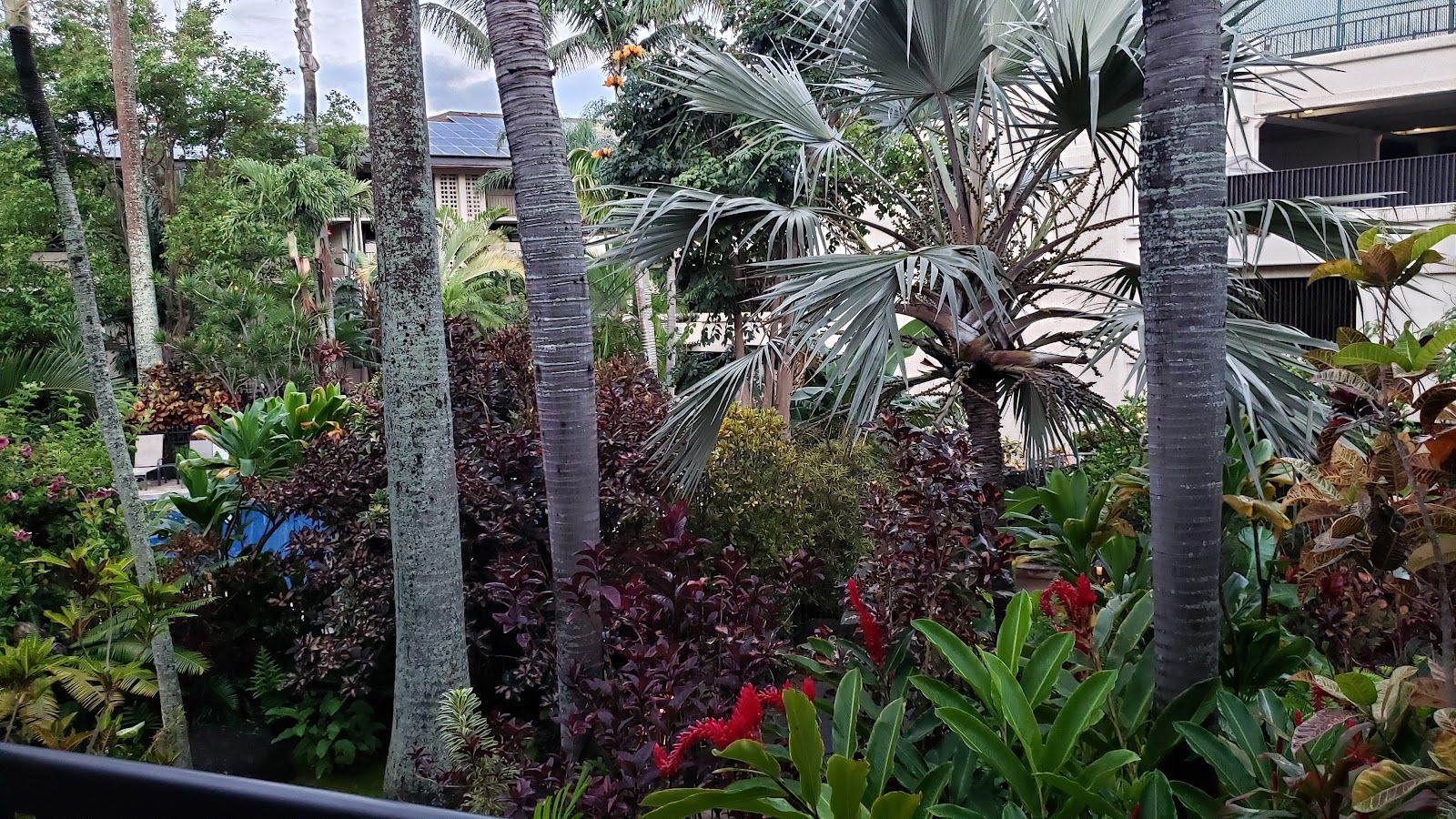 Prince Kuhio Resort lodging in Poʻipū, Kaua‘i photo 3