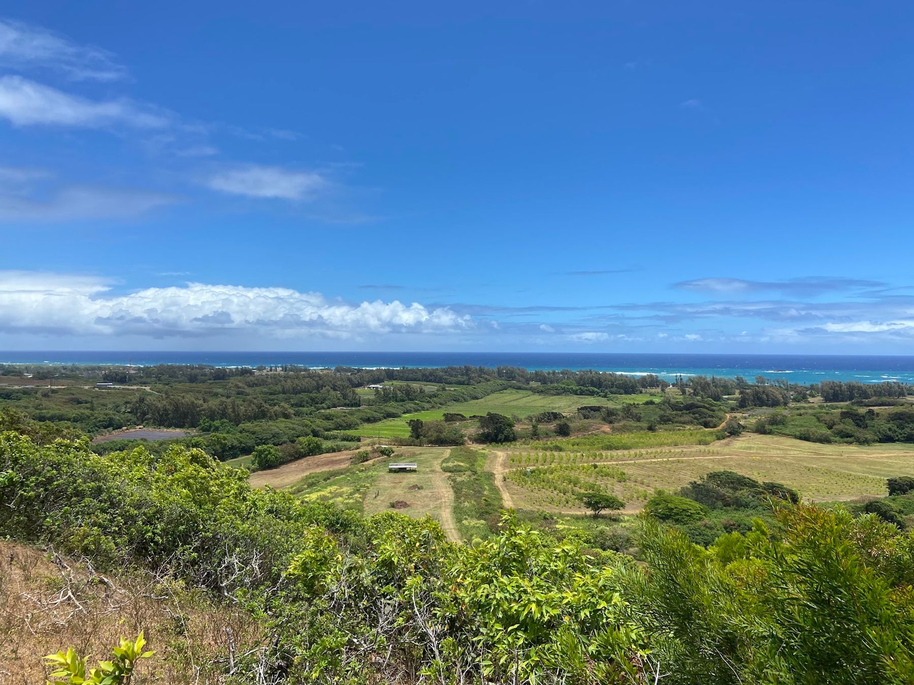 Photo 3 of Gunstock Ranch in Kahuku & Turtle Bay, Oahu