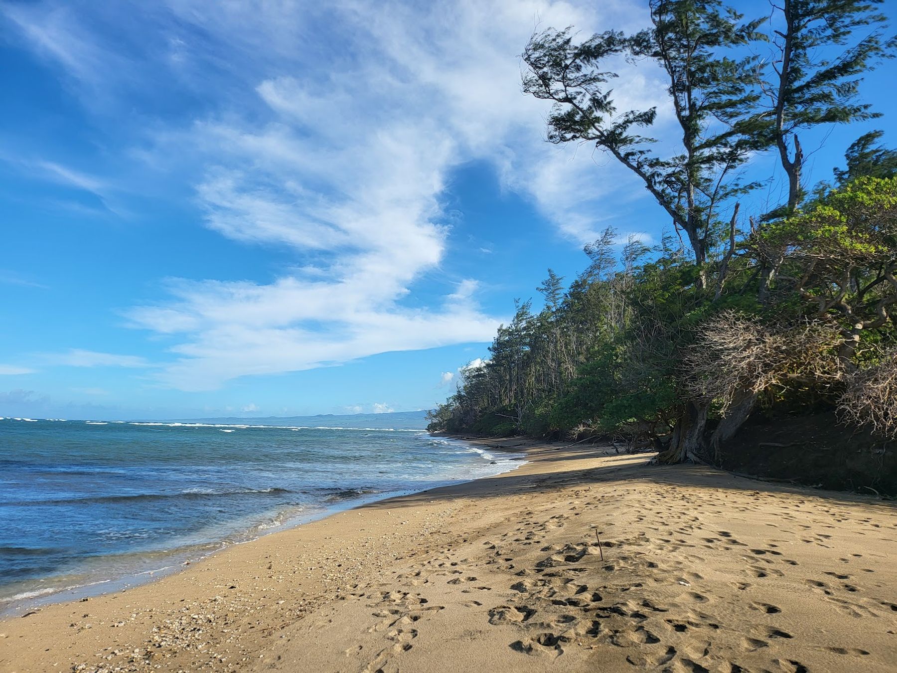 Photo 4 of Waihe‘e Coastal Dunes and Wetlands Refuge in Wailuku, Maui