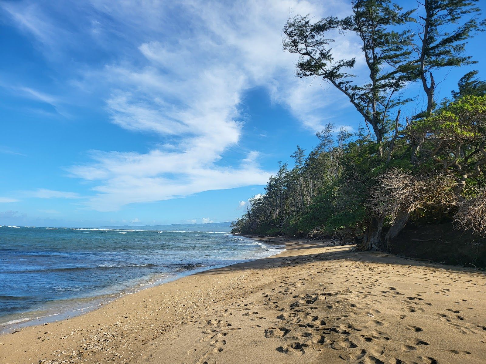 Photo 4 of Waihe‘e Coastal Dunes and Wetlands Refuge in Wailuku, Maui