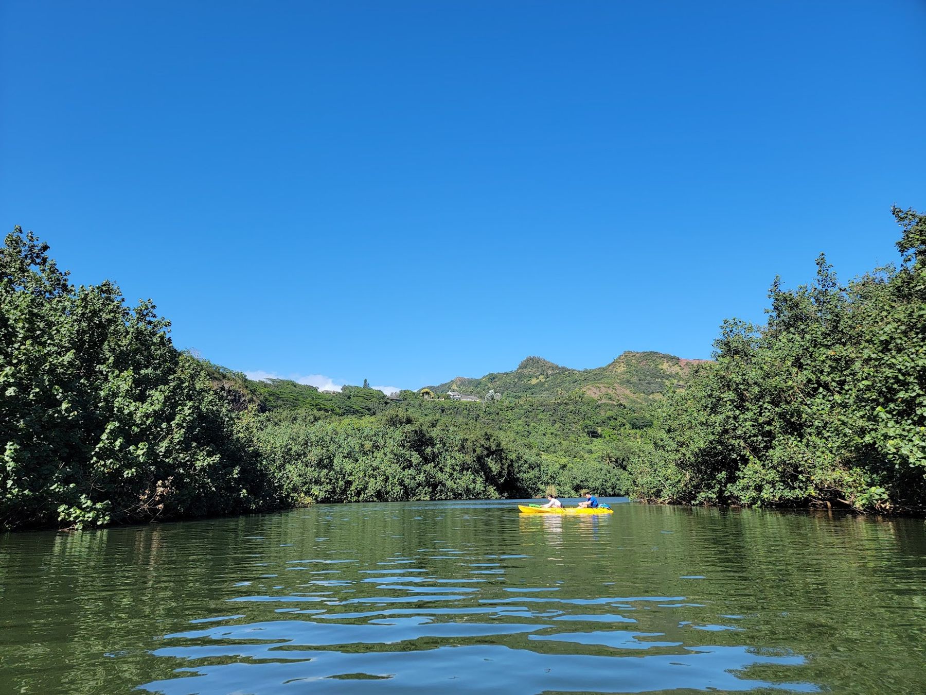 Uluwehi (Secret) Falls in Kapaʻa, Kaua‘i photo 6