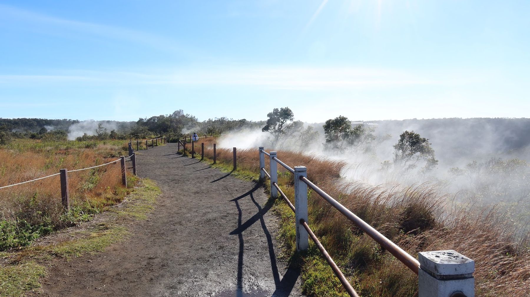 Photo 2 of Steam Vents in Volcano, Big Island