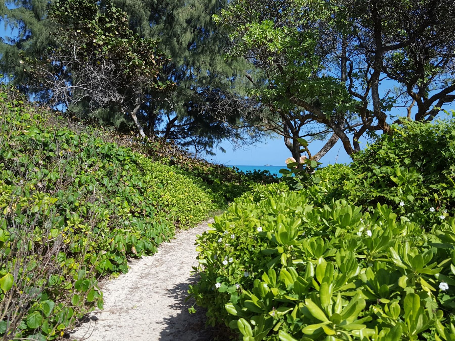 Photo 7 of Kalama Beach Park in Kailua & Lanikai, Oahu