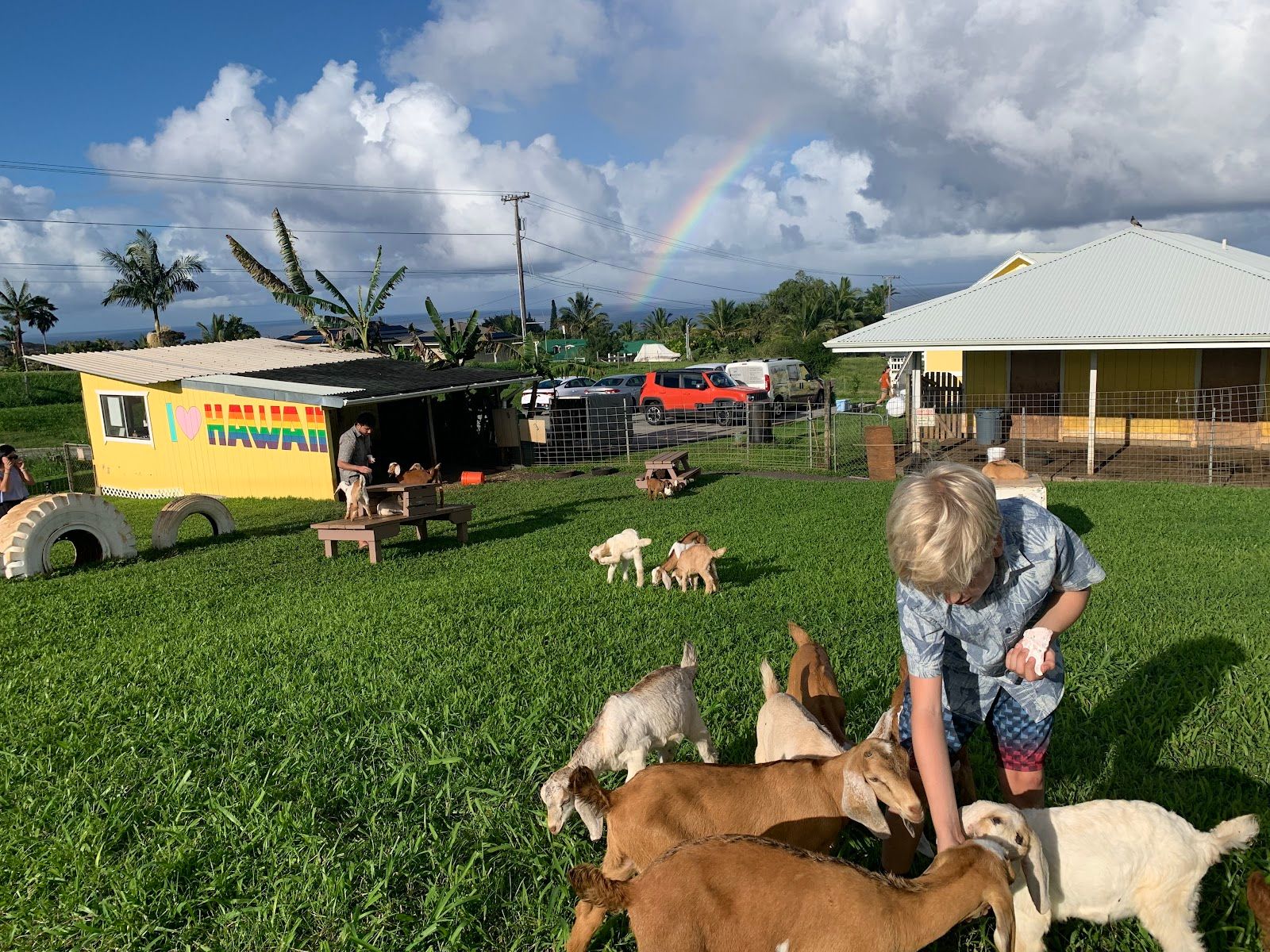 Photo 9 of Honomu Goat Dairy in Greater Hilo, Big Island