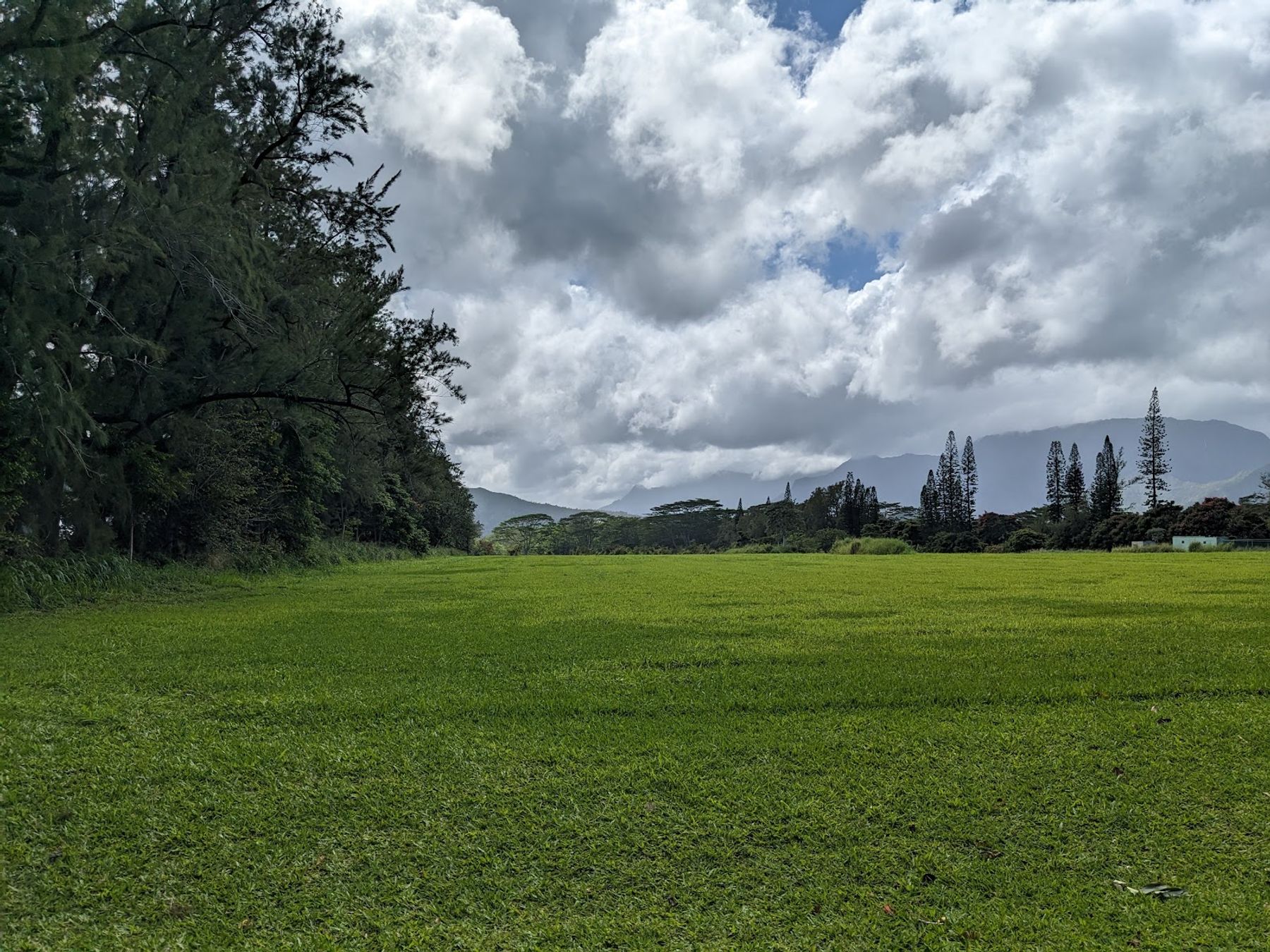 Wai Koa Loop Trail in Kīlauea, Kaua‘i photo 5