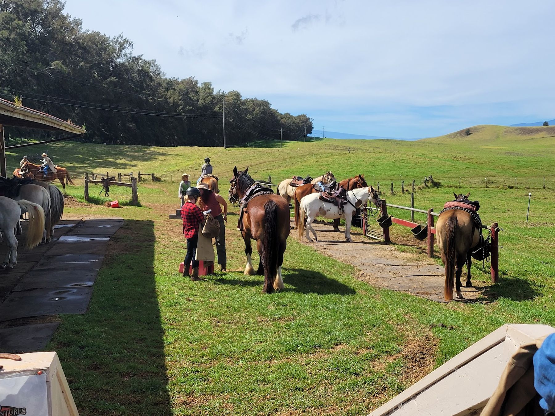 Photo 7 of Paniolo Adventures in Waimea, Big Island
