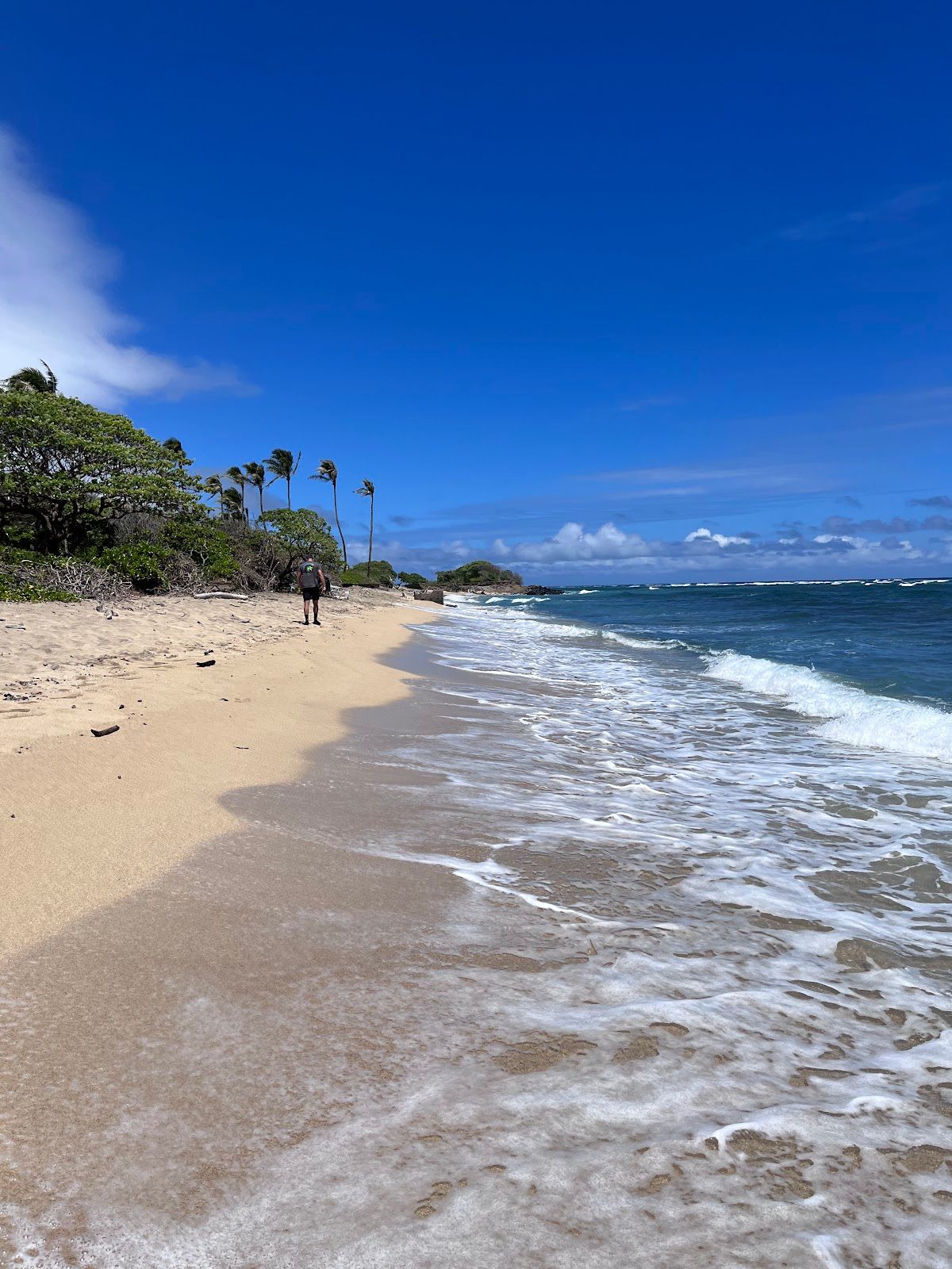 Photo 1 of Waiehu Beach Park in Wailuku, Maui