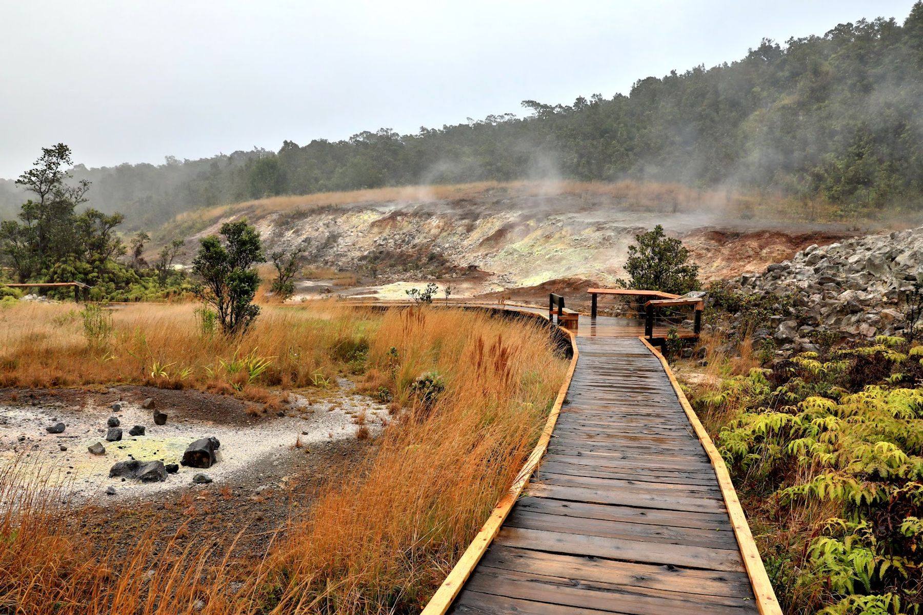 Photo 3 of Haʻakulamanu Sulphur Banks in Volcano, Big Island