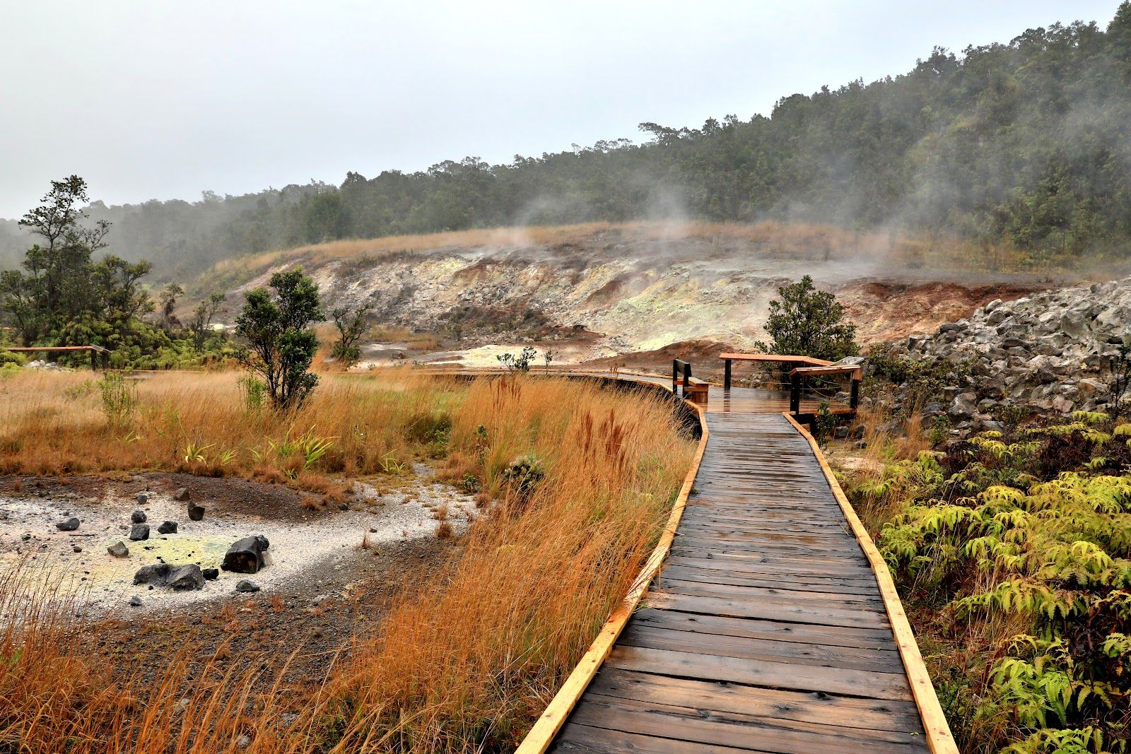 Photo 3 of Haʻakulamanu Sulphur Banks in Volcano, Big Island