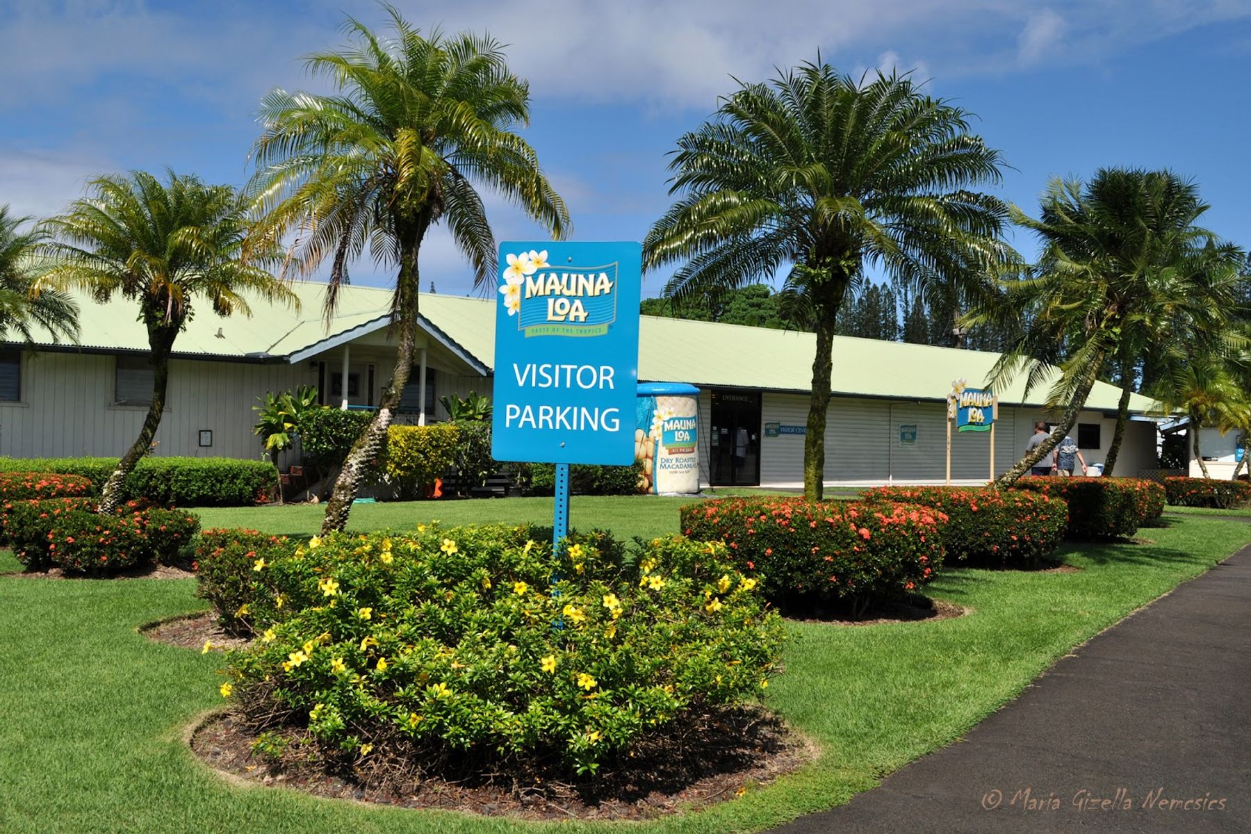 Photo 6 of Mauna Loa Macadamia Nut Visitor Center in Pāhoa, Big Island