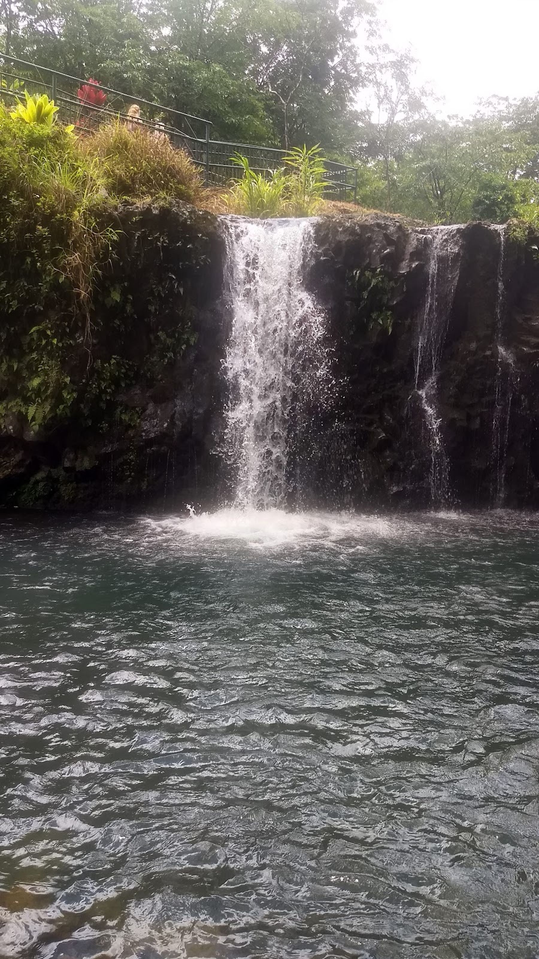 Photo 5 of Polynesian Adventure Tours in Kahului, Maui