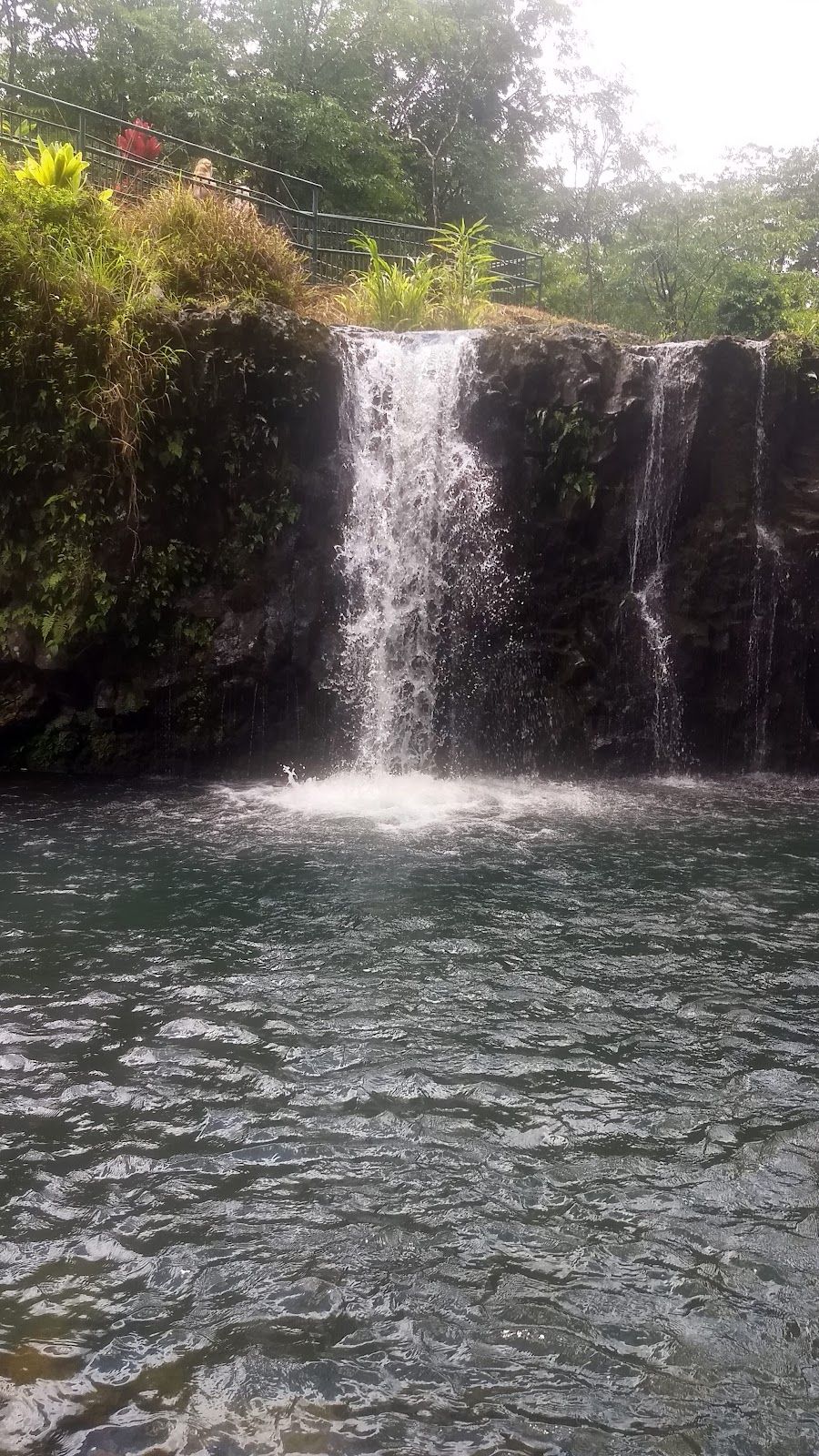 Photo 5 of Polynesian Adventure Tours in Kahului, Maui
