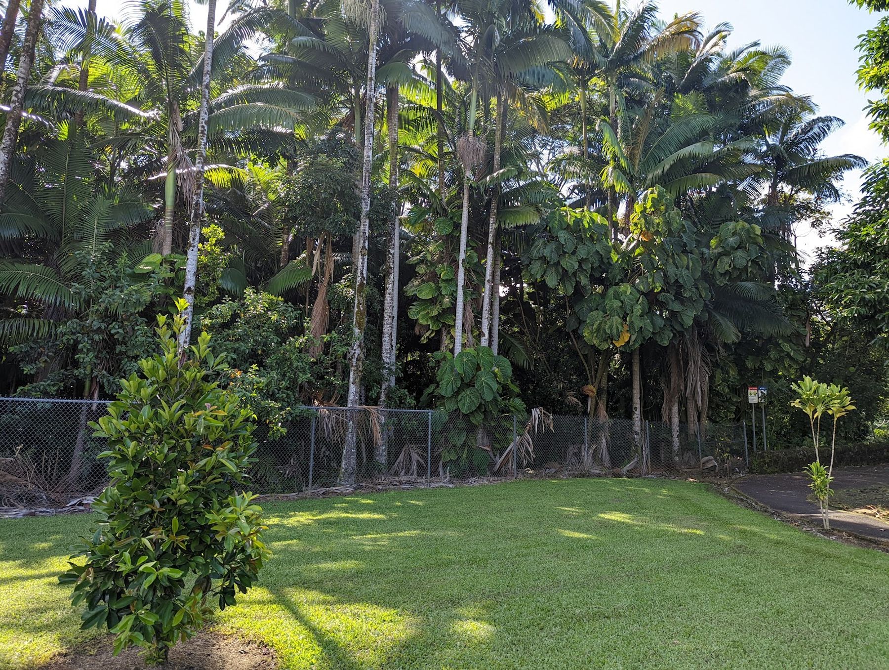 Photo 10 of Boiling Pots in Hilo, Big Island