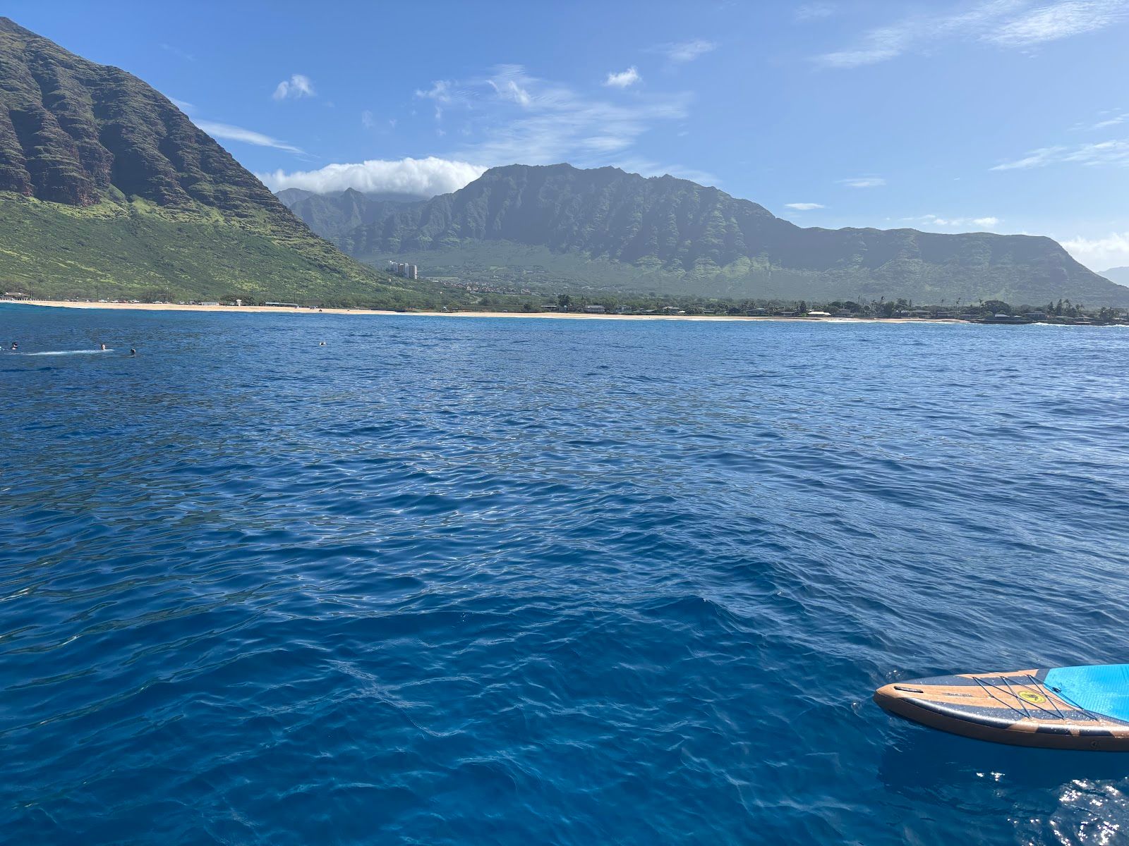 Photo 9 of Iruka Hawaii Dolphin Snorkeling Tours in Ala Moana & Mōʻiliʻili, Oahu