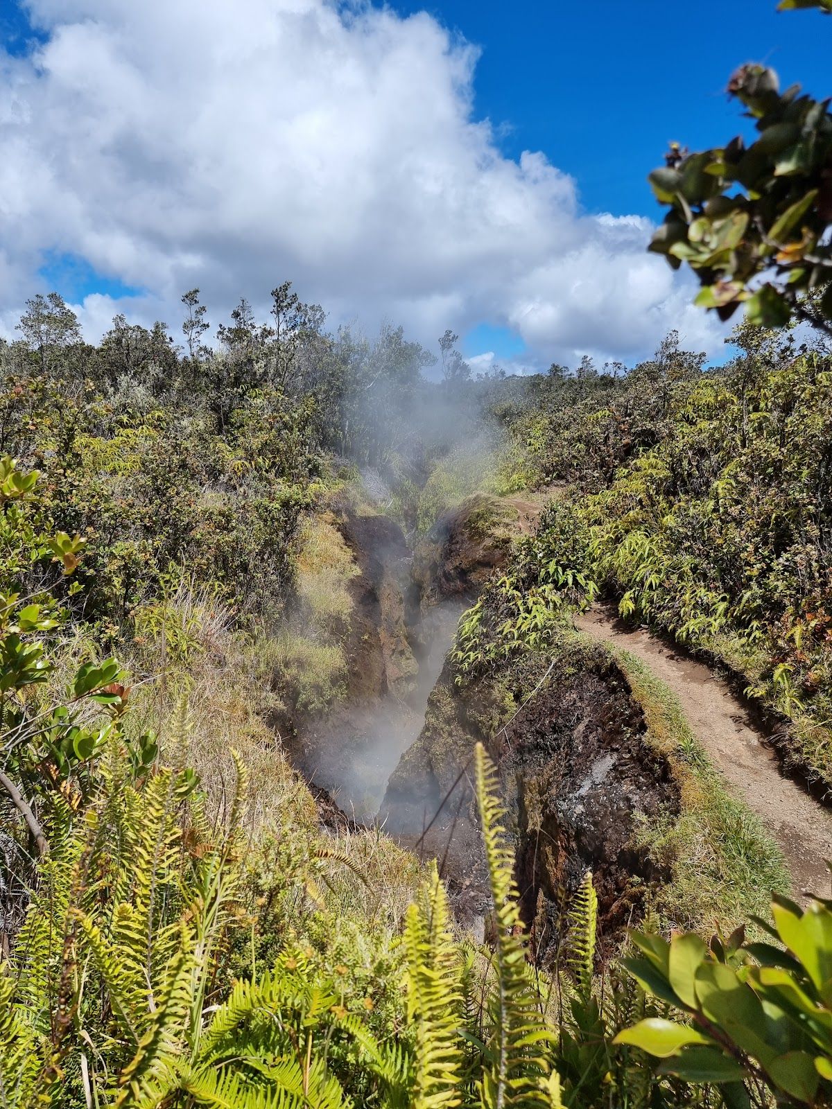 Photo 10 of Steam Vents in Volcano, Big Island