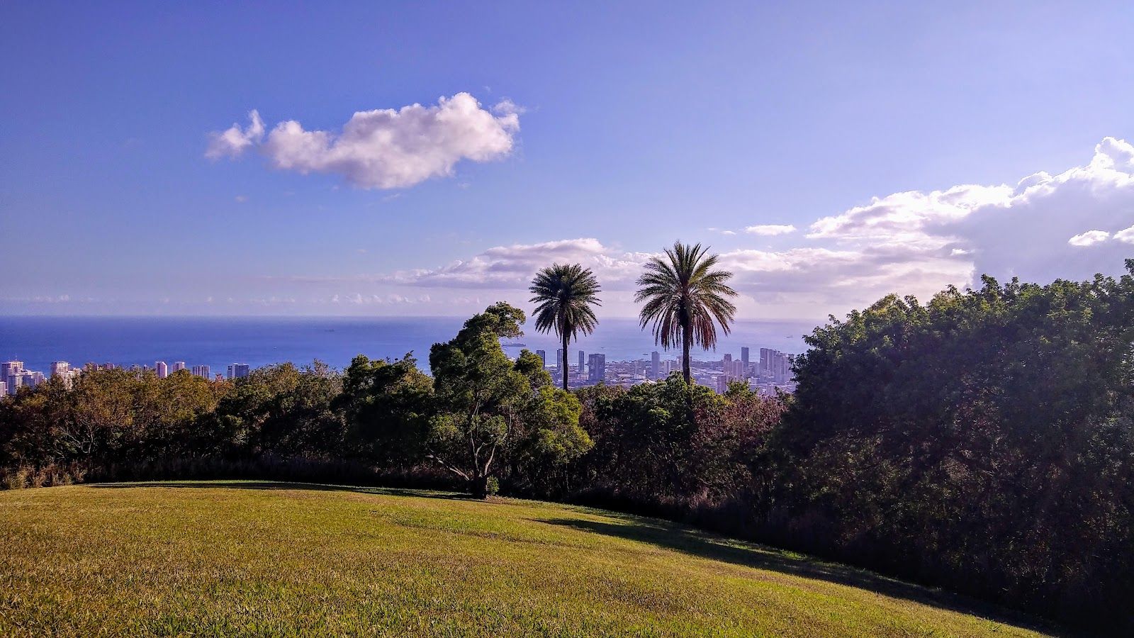 Photo 10 of Ala Wai Community Park in Ala Moana & Mōʻiliʻili, Oahu