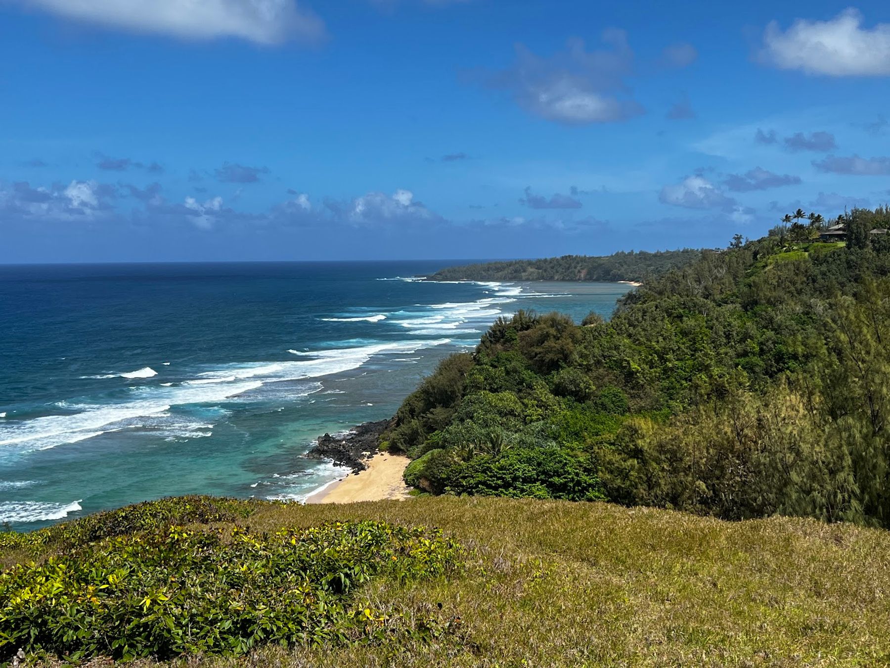 Na 'Aina Kai Botanical Gardens & Sculpture Park in Kīlauea, Kaua‘i photo 5