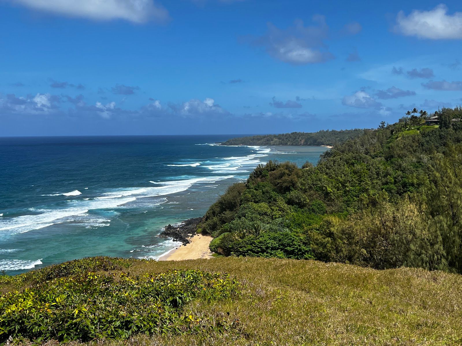 Na 'Aina Kai Botanical Gardens & Sculpture Park in Kīlauea, Kaua‘i photo 5