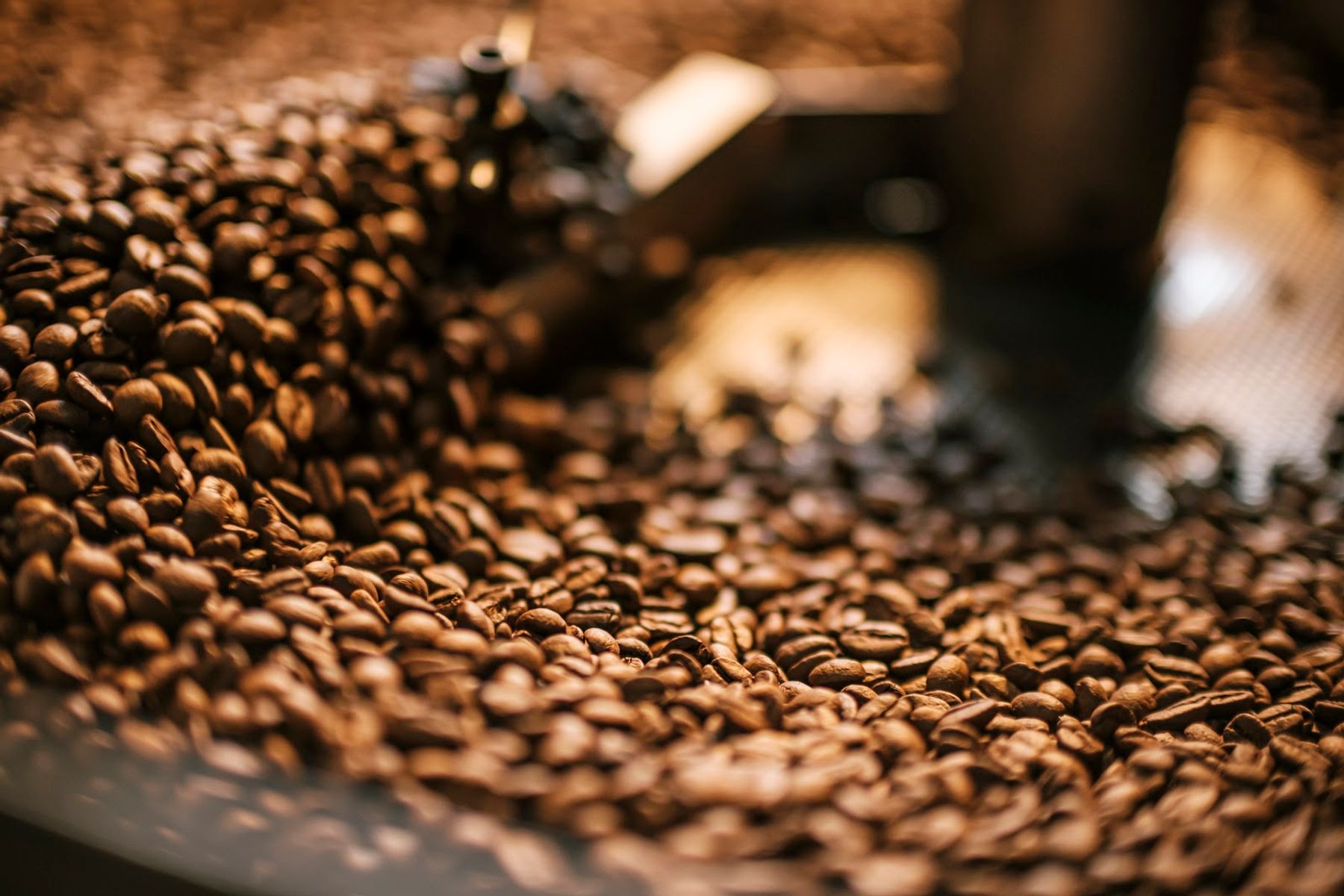 Photo 1 of ChadLou's Coffee Roasters in Kailua & Lanikai, Oahu