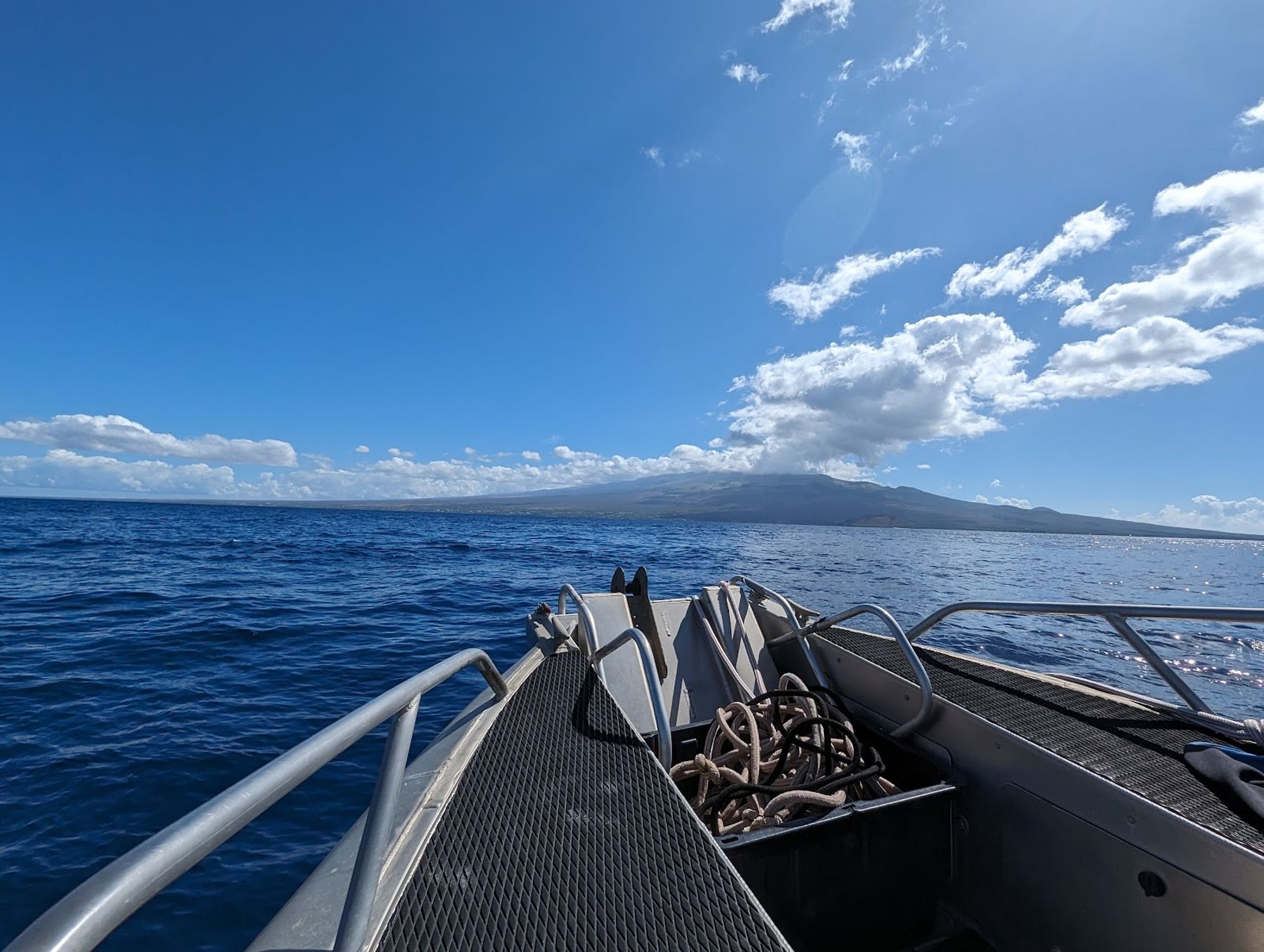 Photo 6 of Seafire Charters in Wailea, Maui