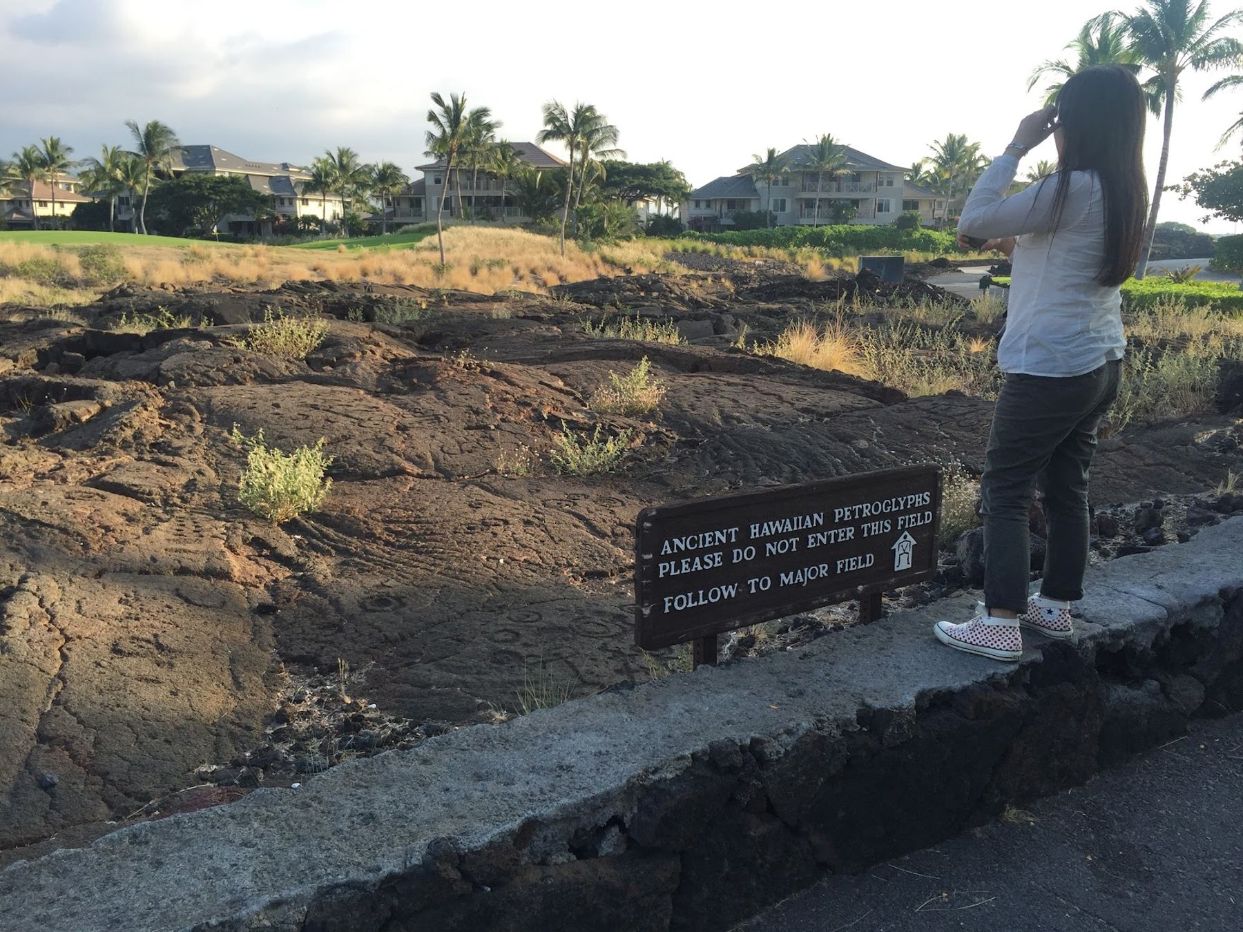 Photo 9 of Waikōloa Petroglyph Reserve in Waikoloa, Big Island