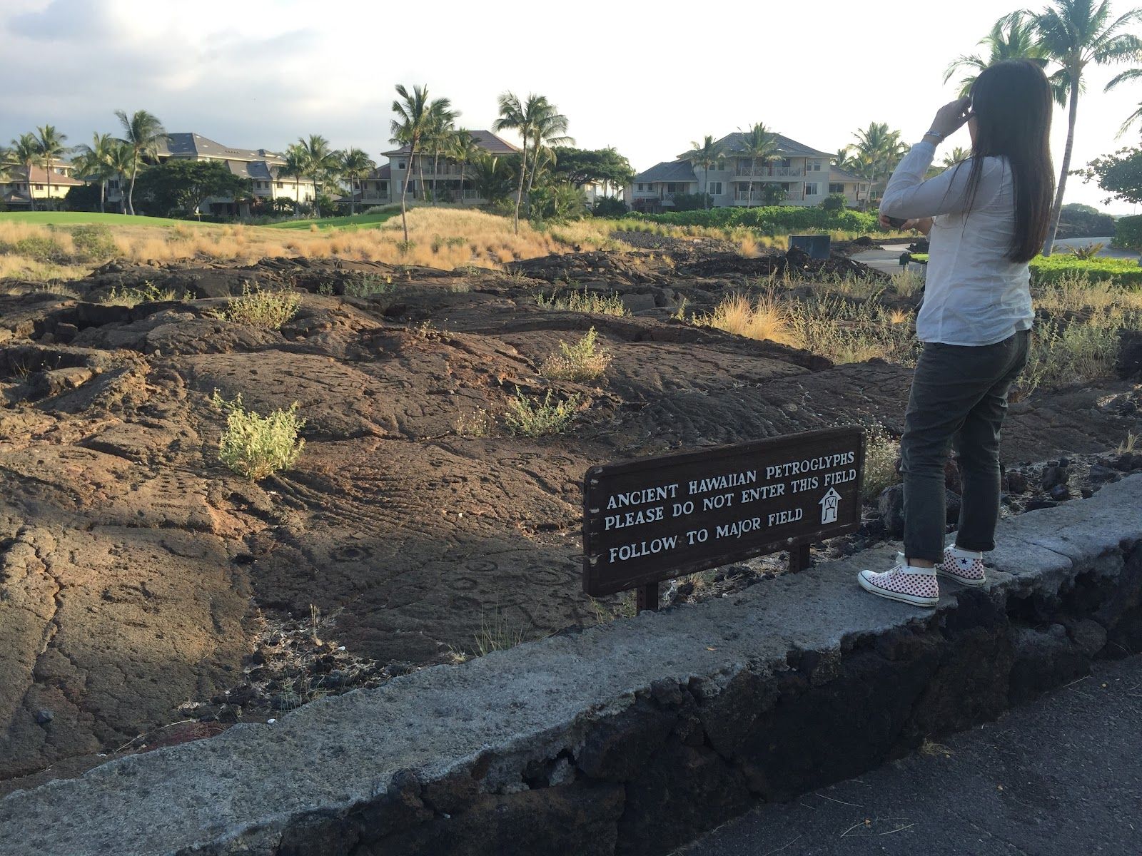 Photo 9 of Waikōloa Petroglyph Reserve in Waikoloa, Big Island