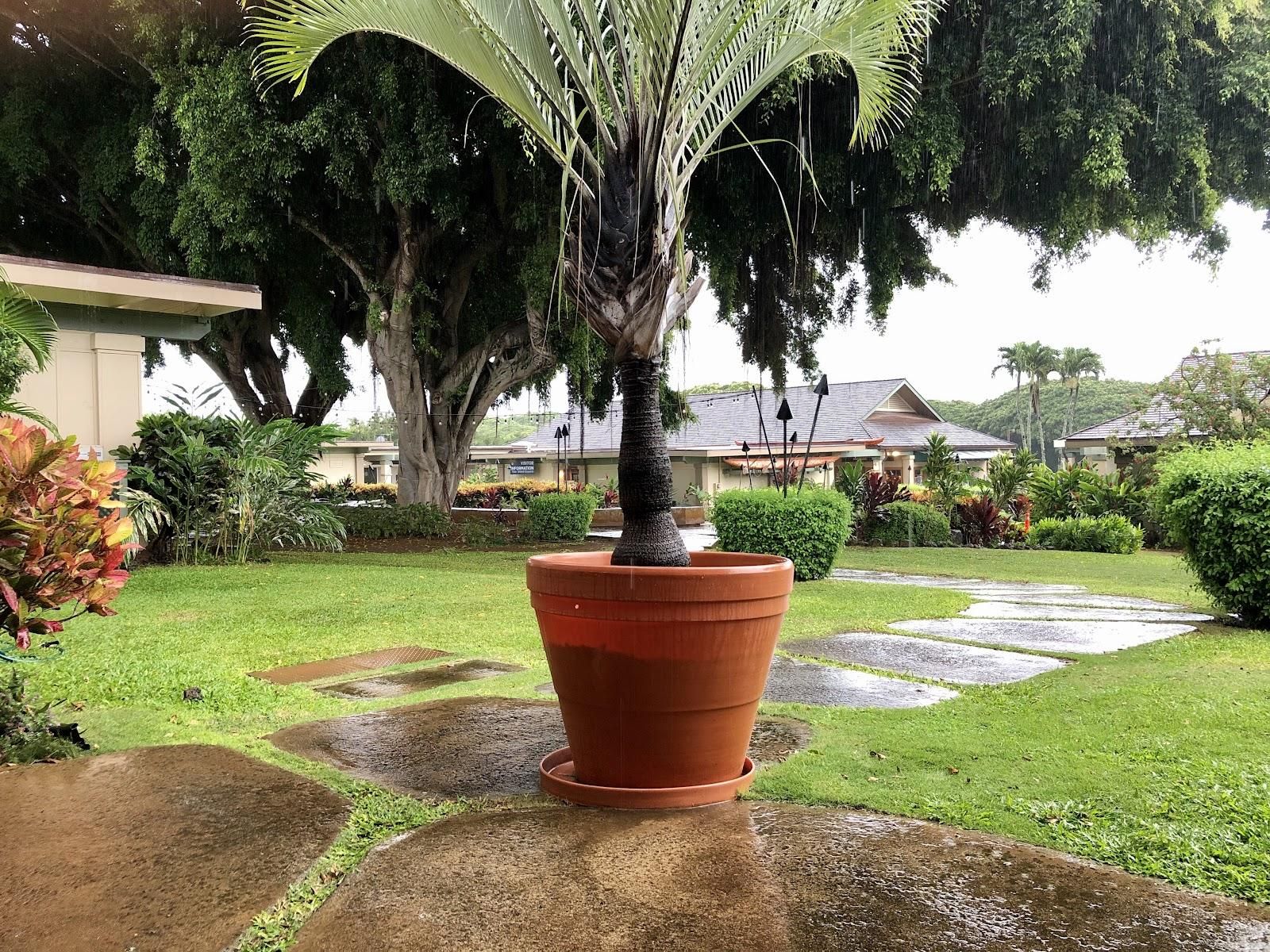 Anuenue Cafe restaurant in Poʻipū, Kaua‘i photo 7