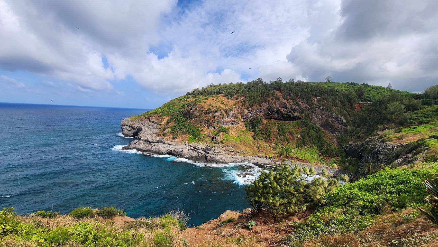 Kilauea Point National Wildlife Refuge in Kīlauea, Kaua‘i photo 2