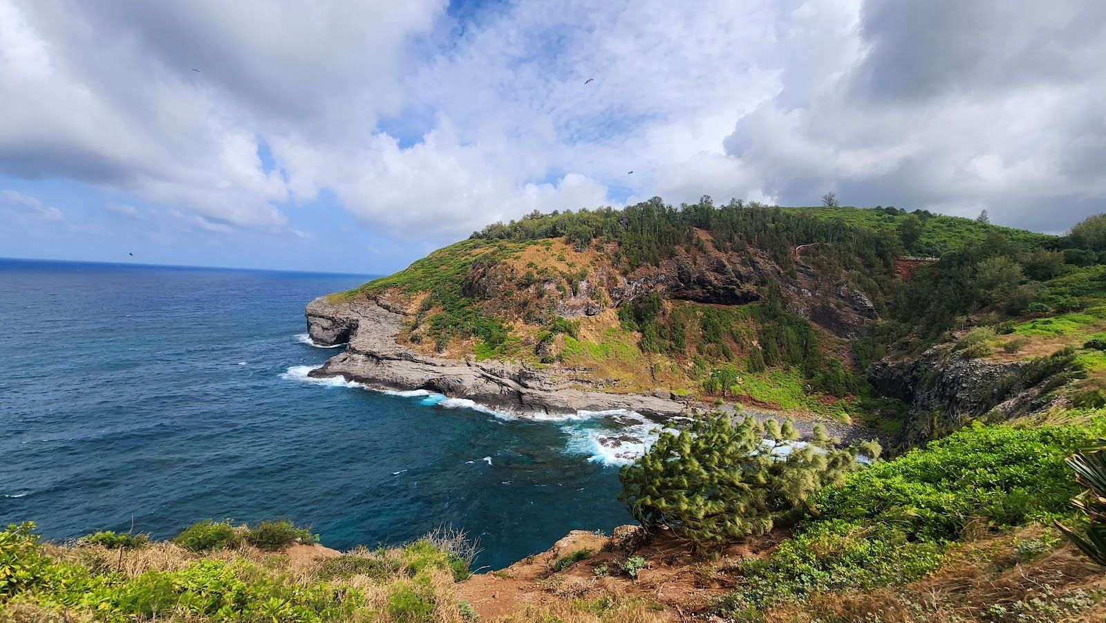 Kilauea Point National Wildlife Refuge in Kīlauea, Kaua‘i photo 2