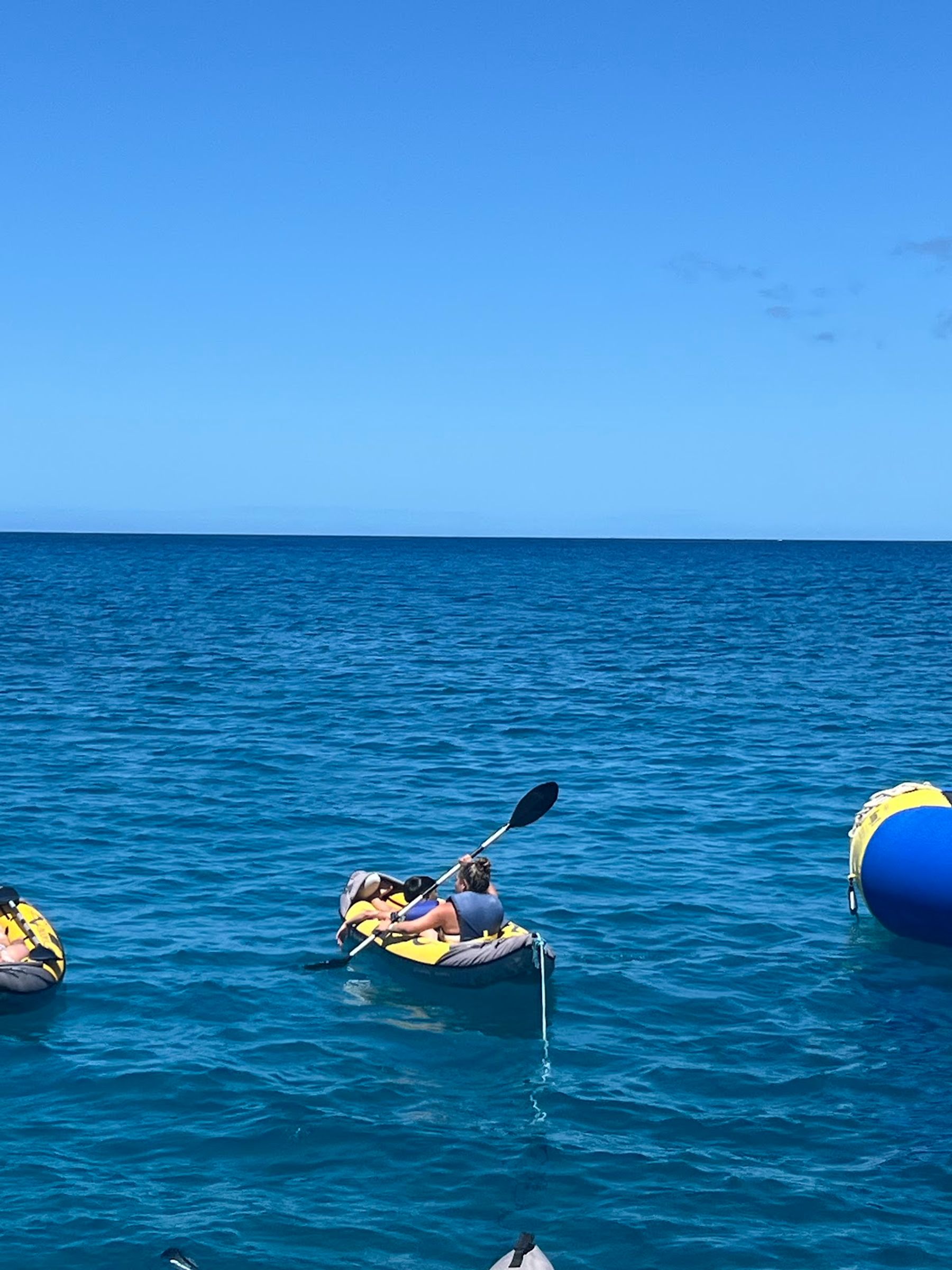 Photo 5 of E Sea Diver in Ala Moana & Mōʻiliʻili, Oahu
