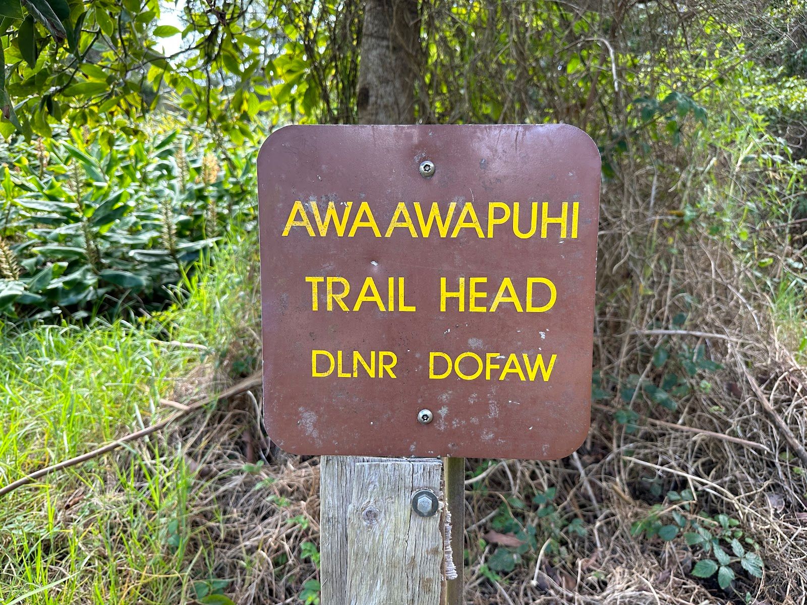 Awaʻawapuhi Trail in Waimea, Kaua‘i photo 3