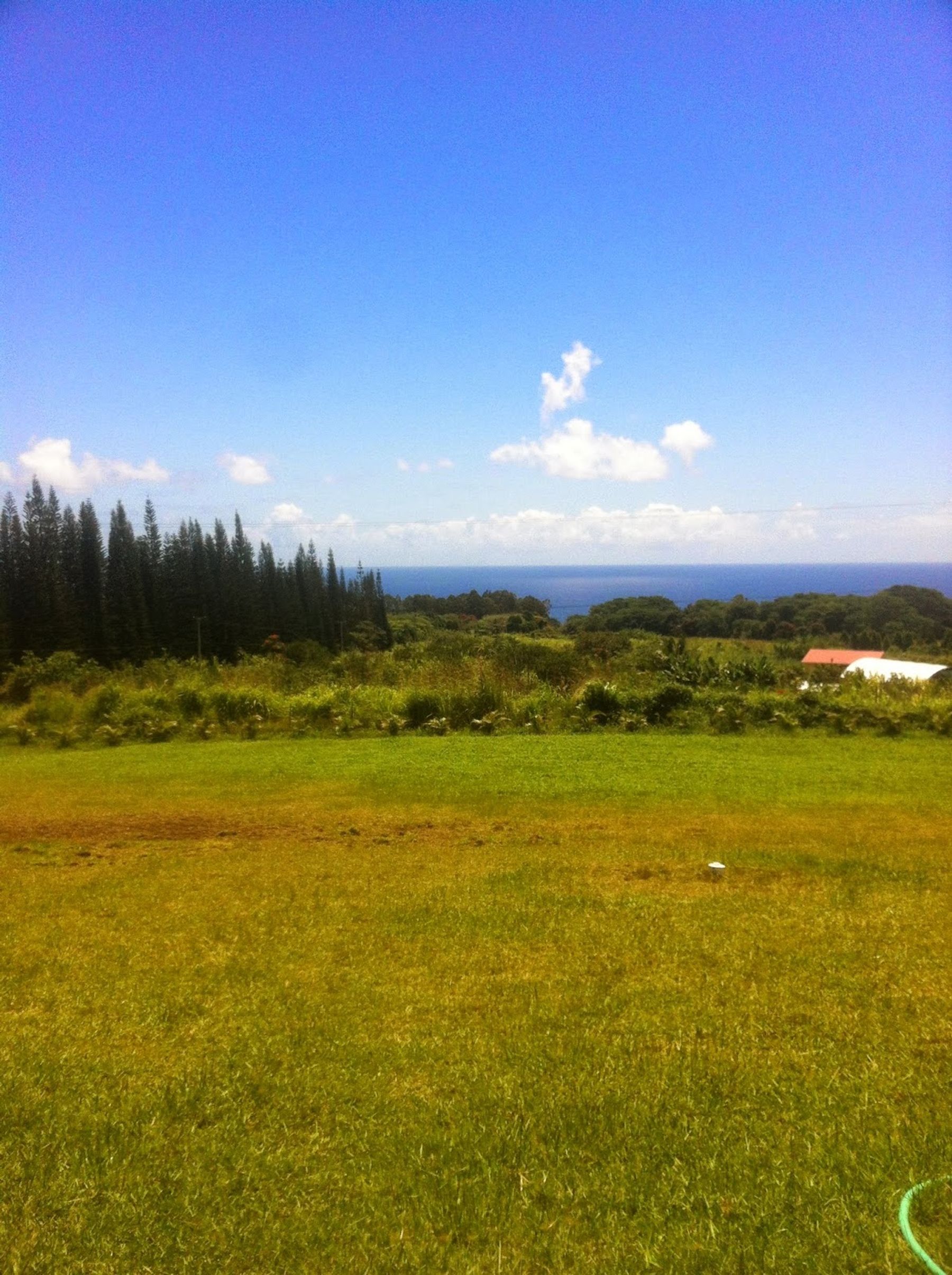 Photo 9 of Mahana House Country Inn in Greater Hilo, Big-island
