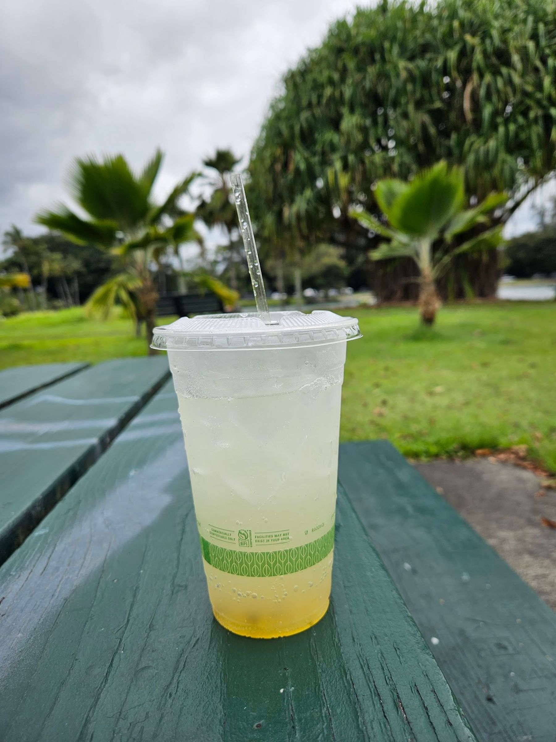 Photo 8 of Hilo Ice Coffee in Hilo, Big Island
