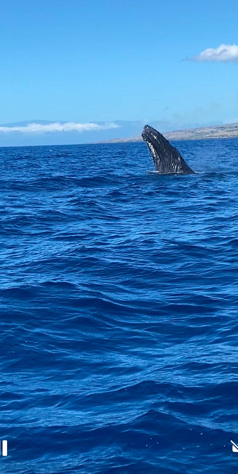 Photo 2 of Da Whale Boat in Mauna Kea Beach, Big Island